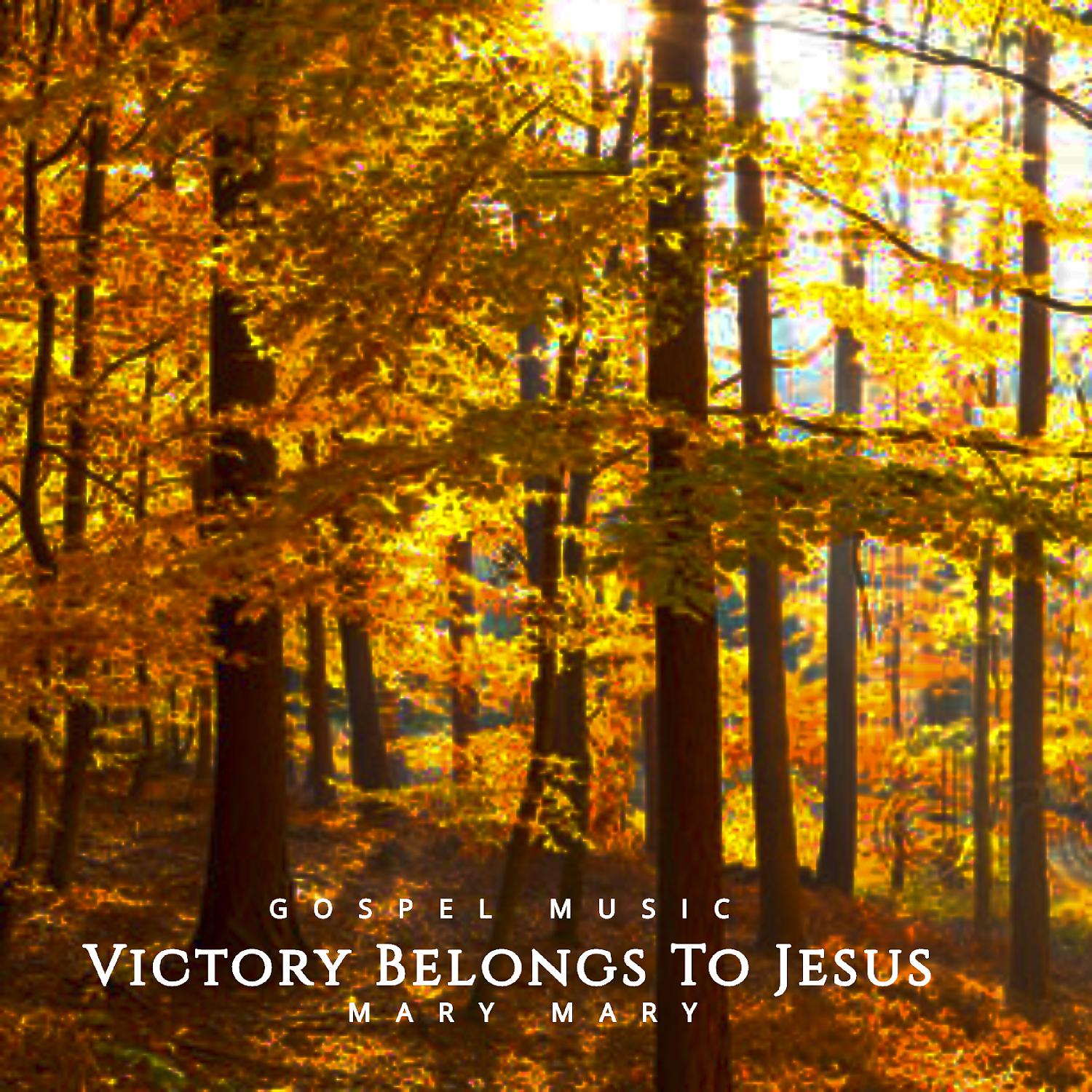 Постер альбома Victory Belongs to jesus