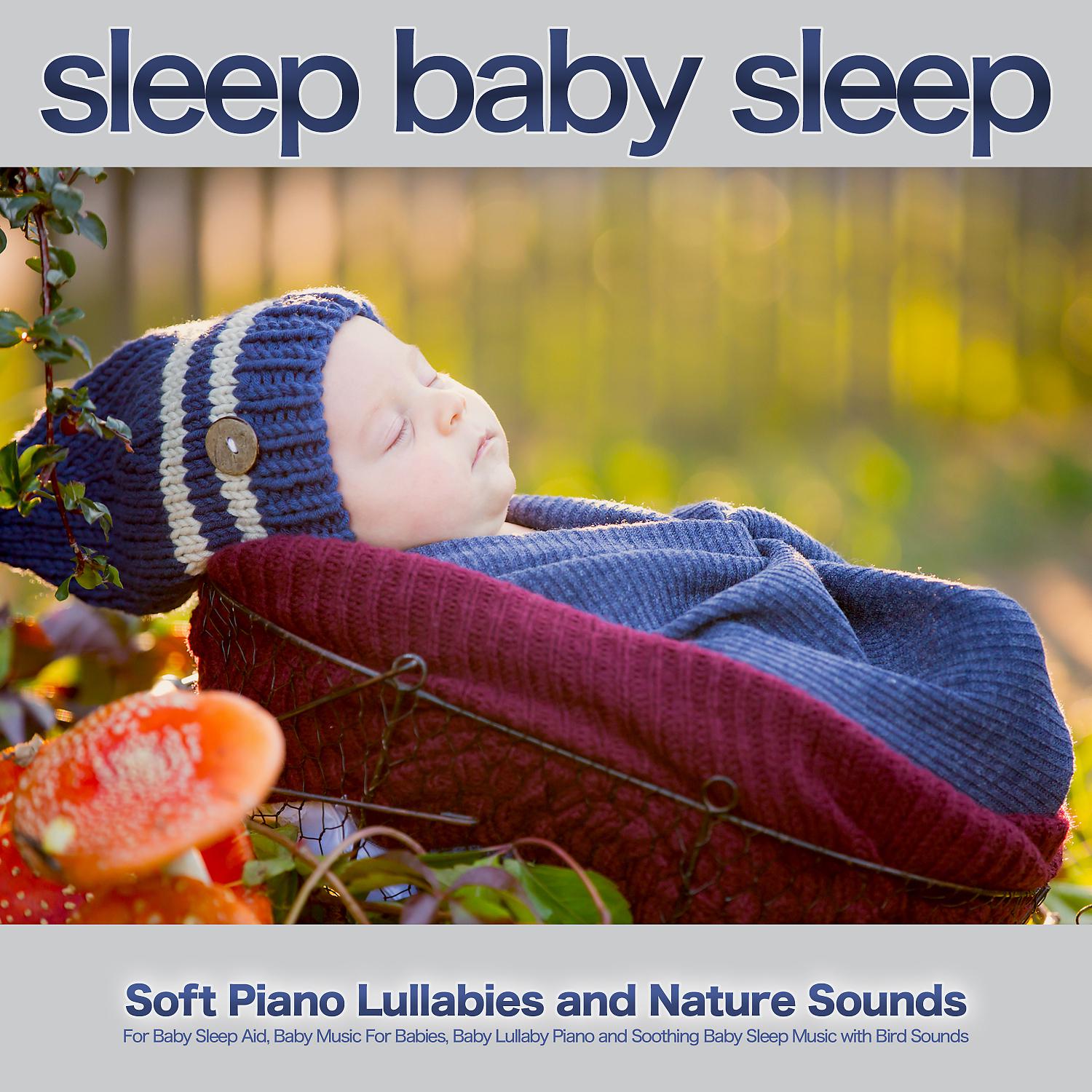 Постер альбома Sleep Baby Sleep: Soft Piano Lullabies and Nature Sounds For Baby Sleep Aid, Baby Music For Babies, Baby Lullaby Piano and Soothing Baby Sleep Music with Bird Sounds