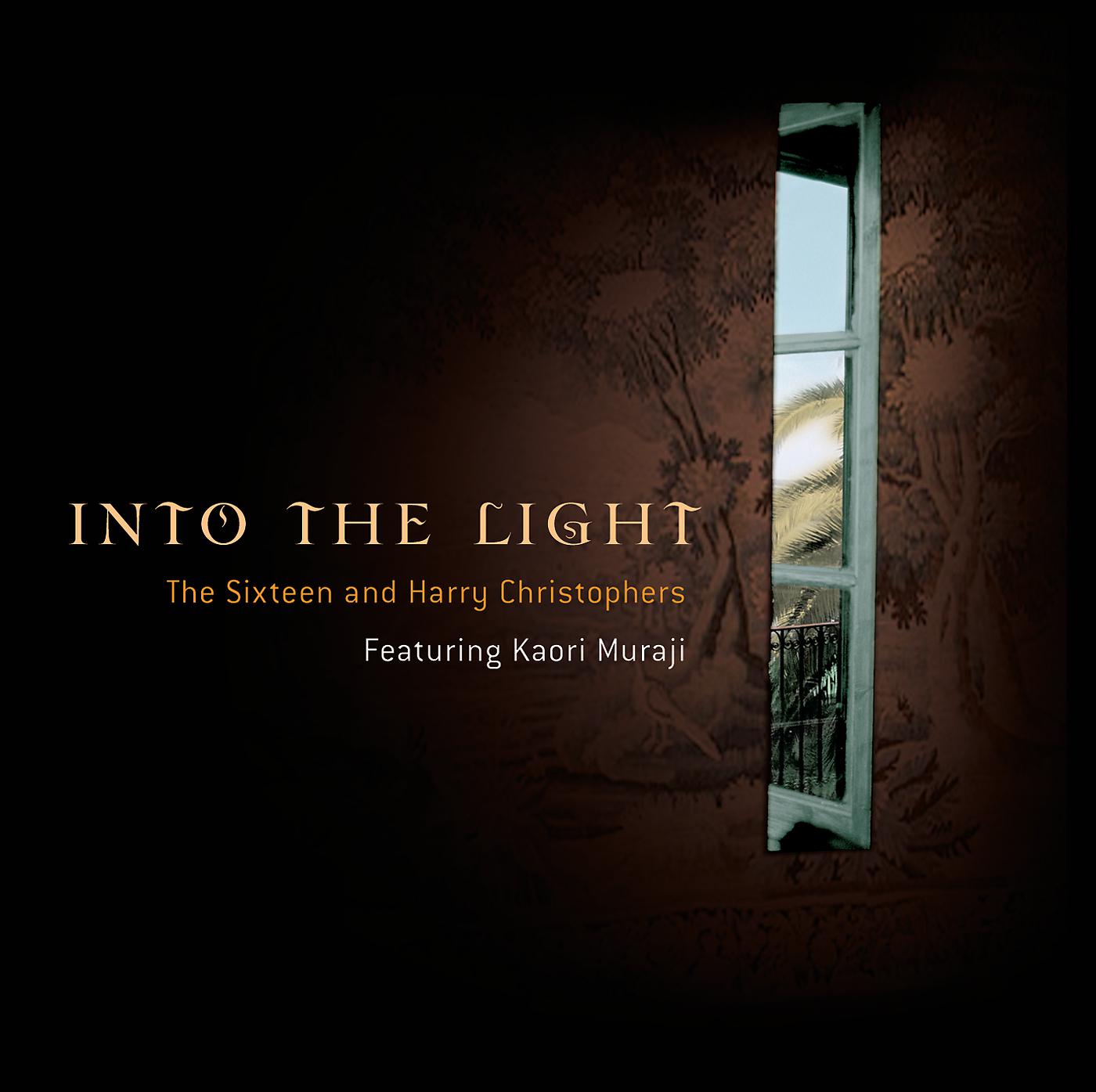 Постер альбома Into The Light