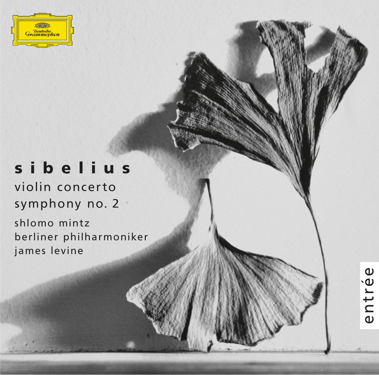 Постер альбома Sibelius: Violin Concerto Op.47; Symphony No.2