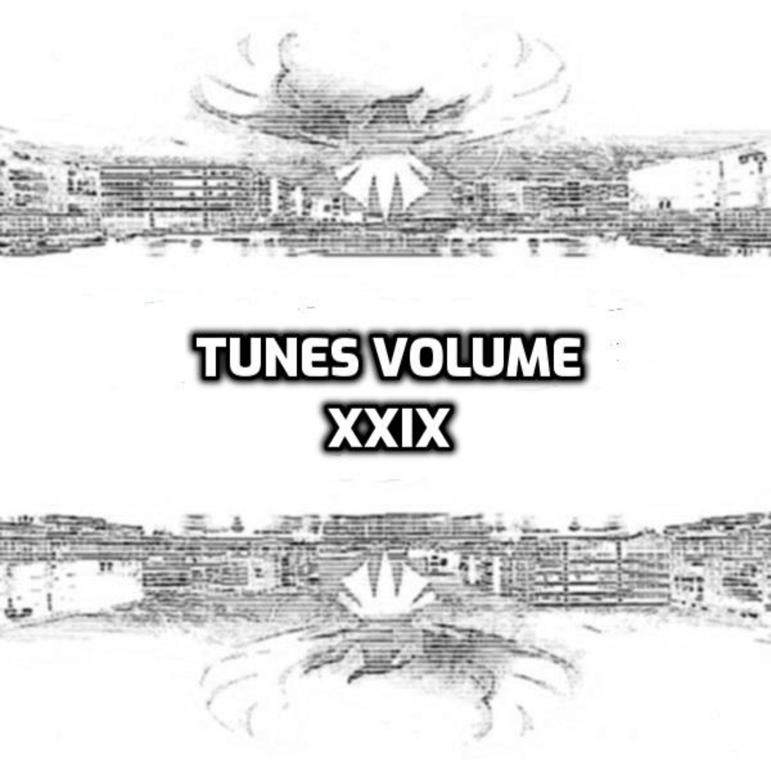 Постер альбома Tunes, Vol. XXIX