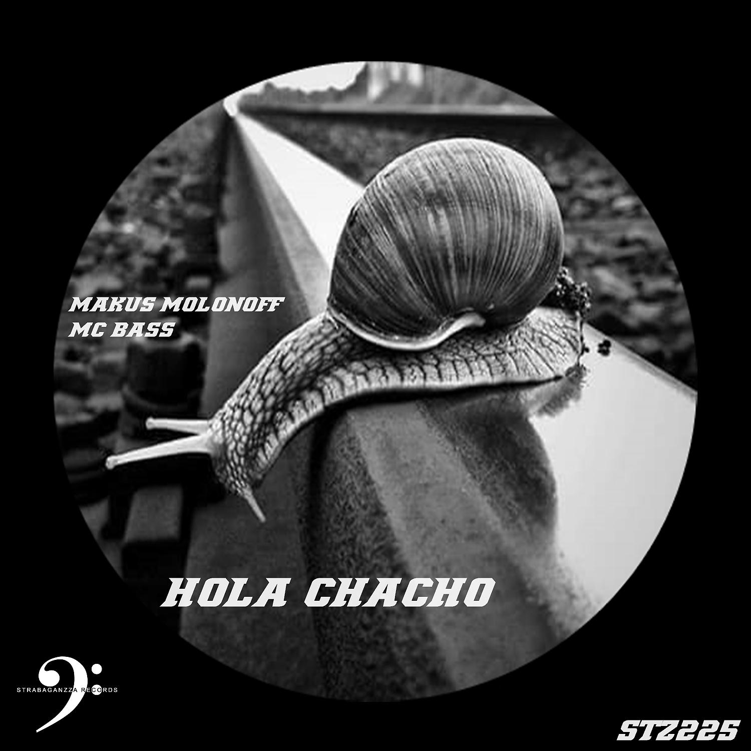 Постер альбома Hola Chacho (feat. Mc Bass)