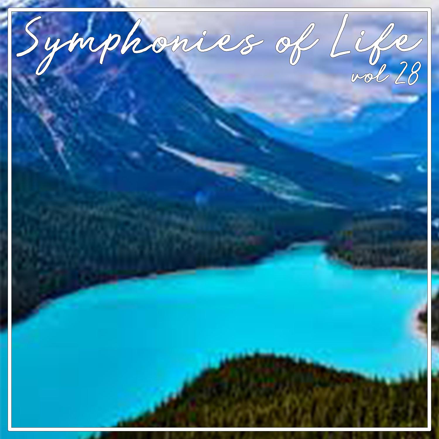 Постер альбома Symphonies of Life, Vol. 28 - Piazzolla; Bandoneon Concerto, The Four Seasons