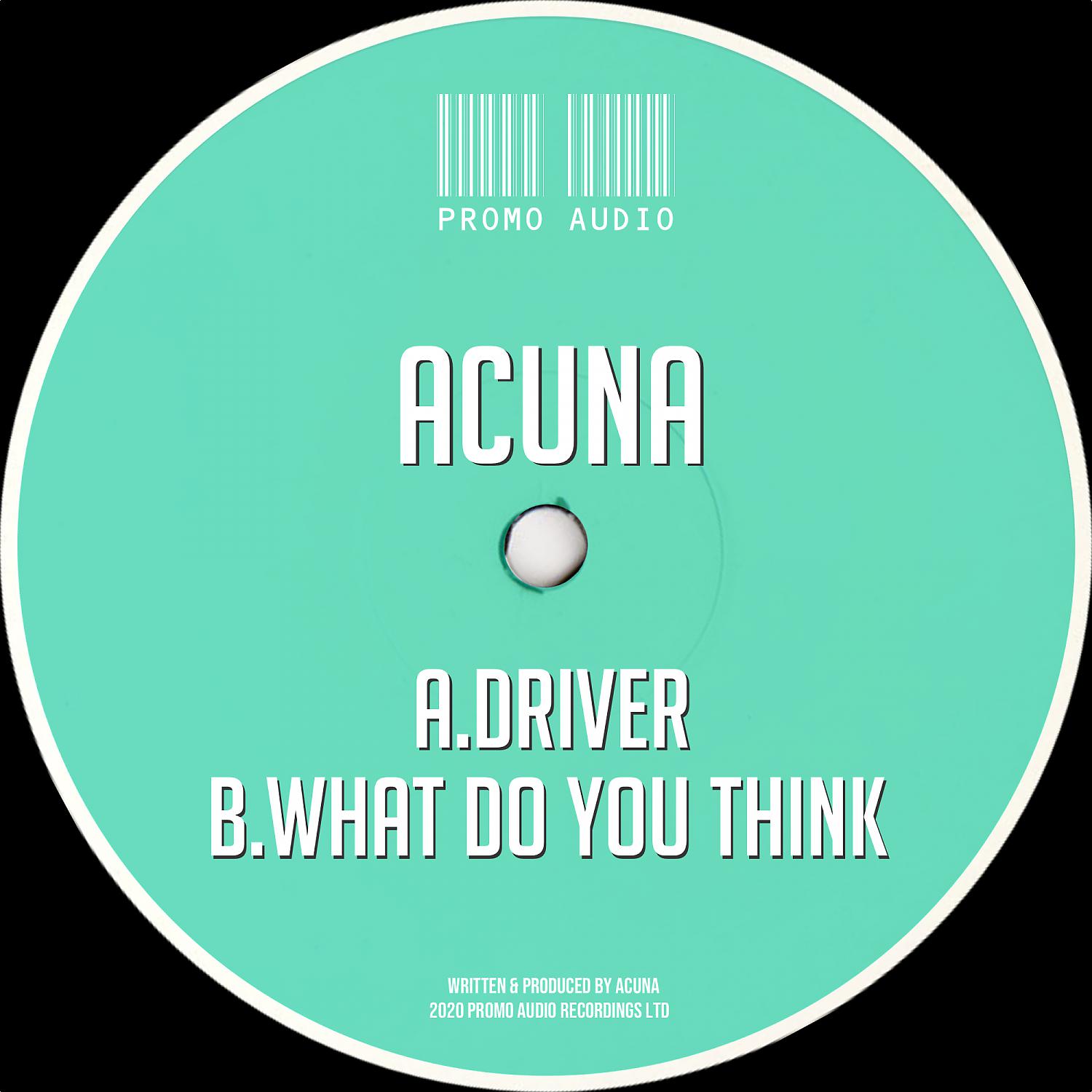 Постер альбома Driver / What do you think
