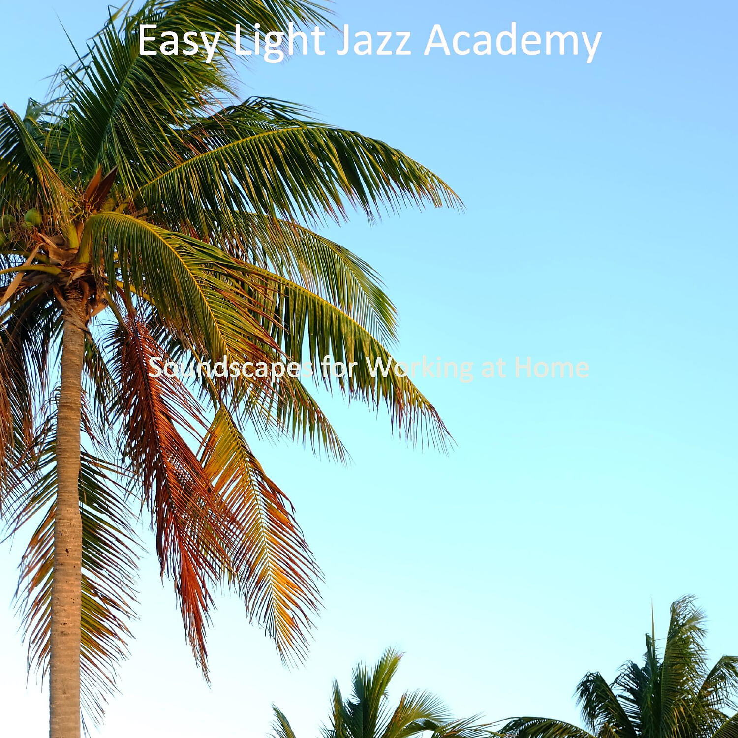 Easy Light Jazz Academy - Fun Music for Working from Home - Tenor Saxophone and Acoustic Guitar
