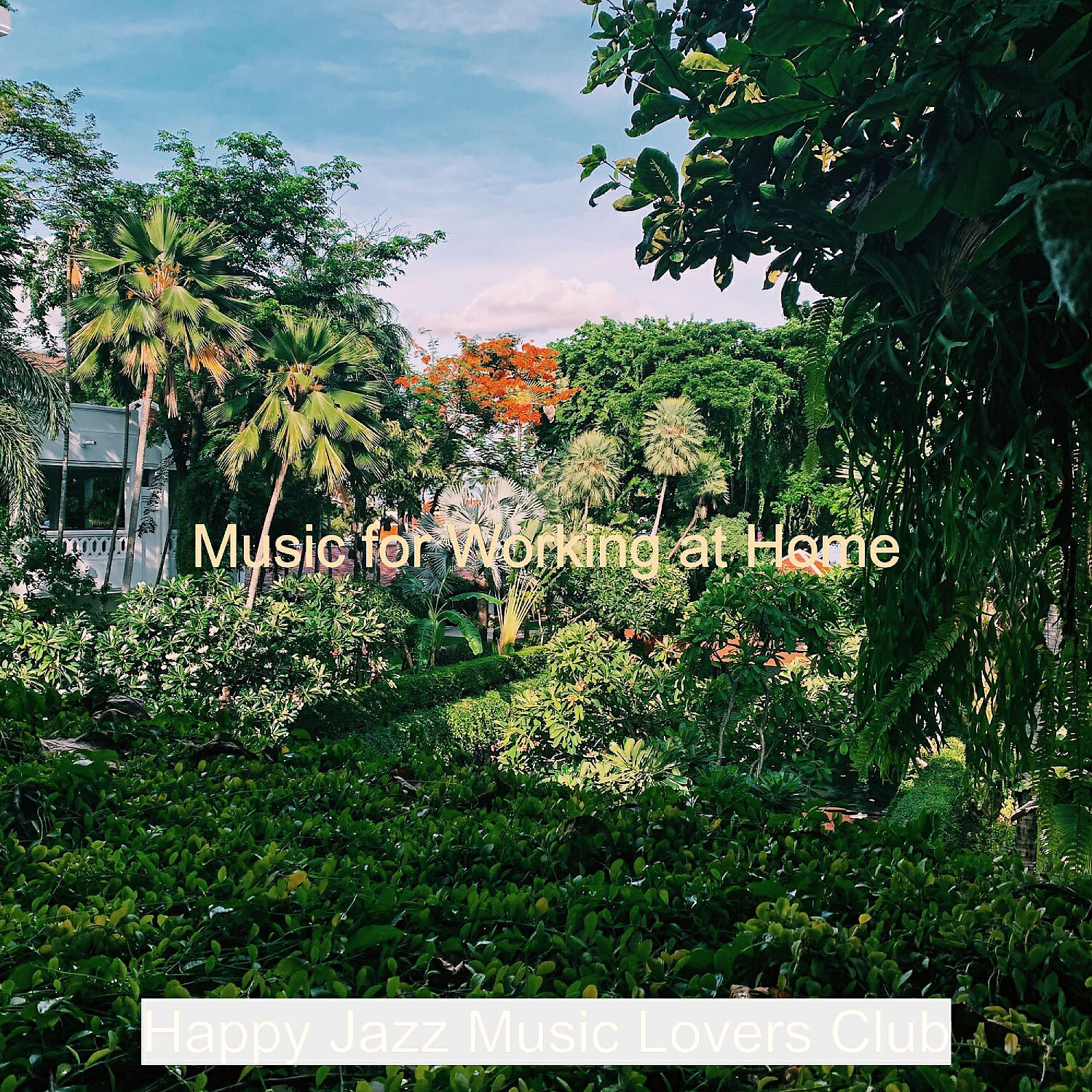 Happy Jazz Music Lovers Club - Bossanova - Background for Dreaming of Travels
