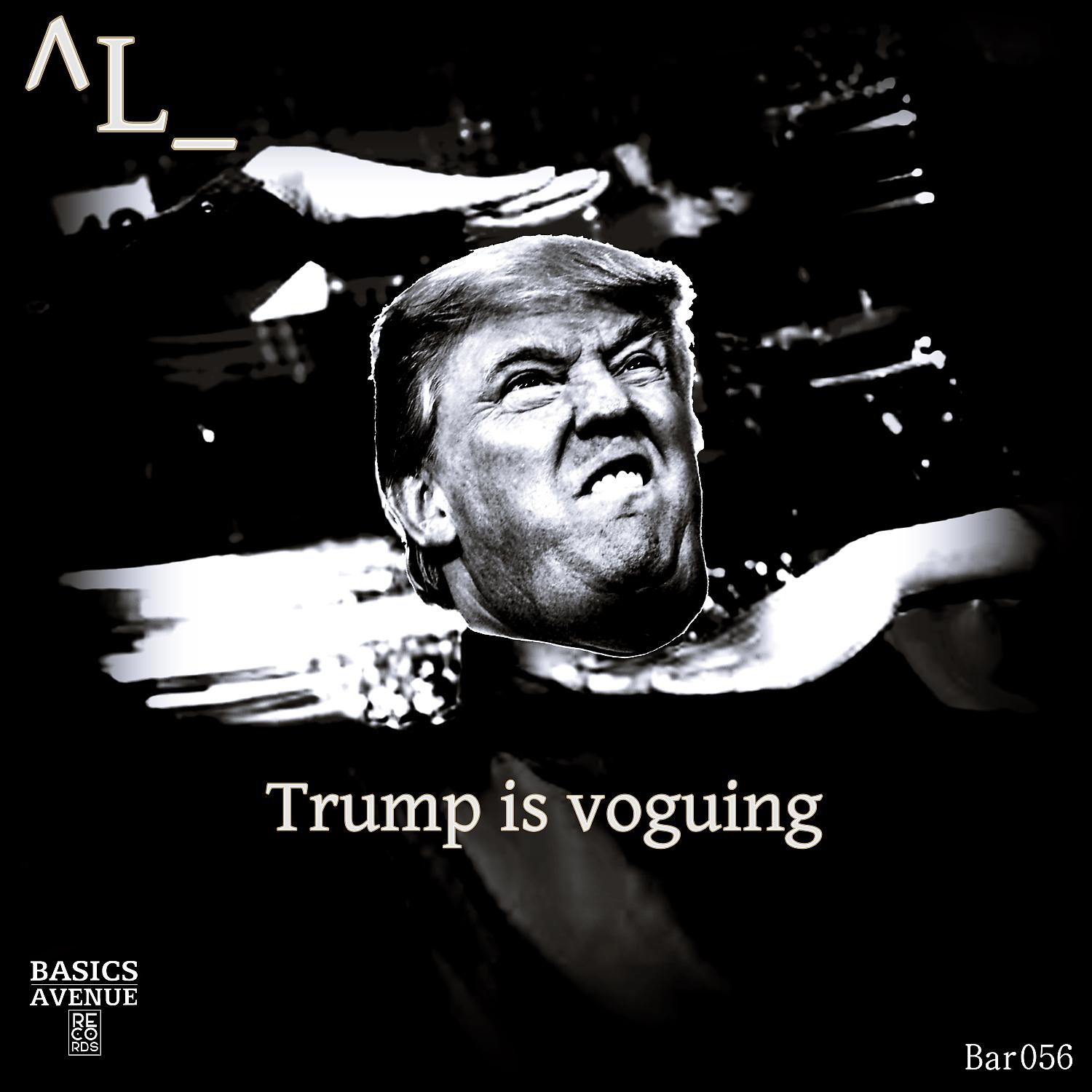 Постер альбома Trump is voguing