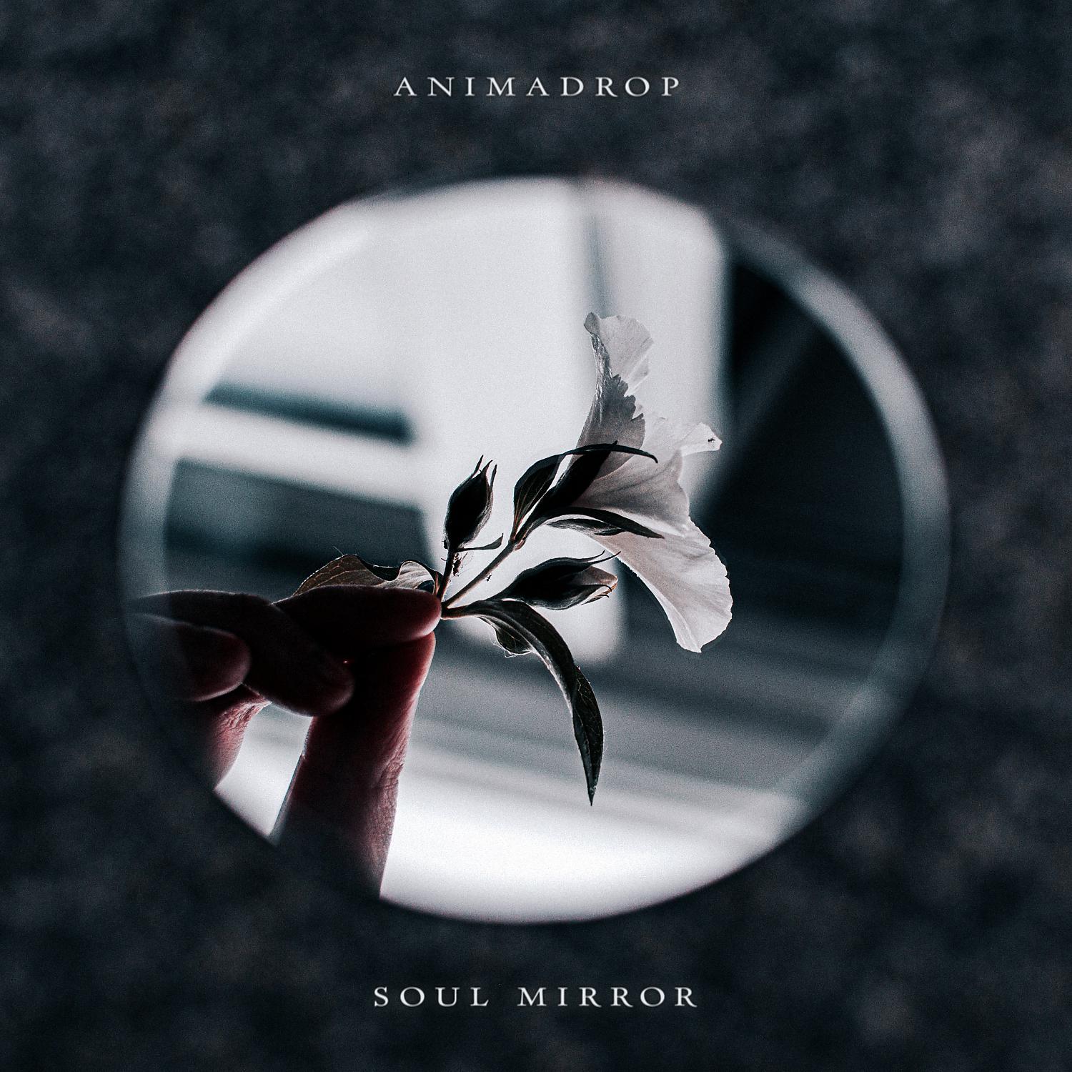 Постер альбома Soul Mirror