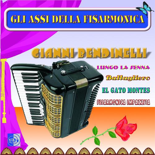 Постер альбома Ballabili celebri: Lungo la senna, ballagliero, el gato montes, fisarmonica impazzita