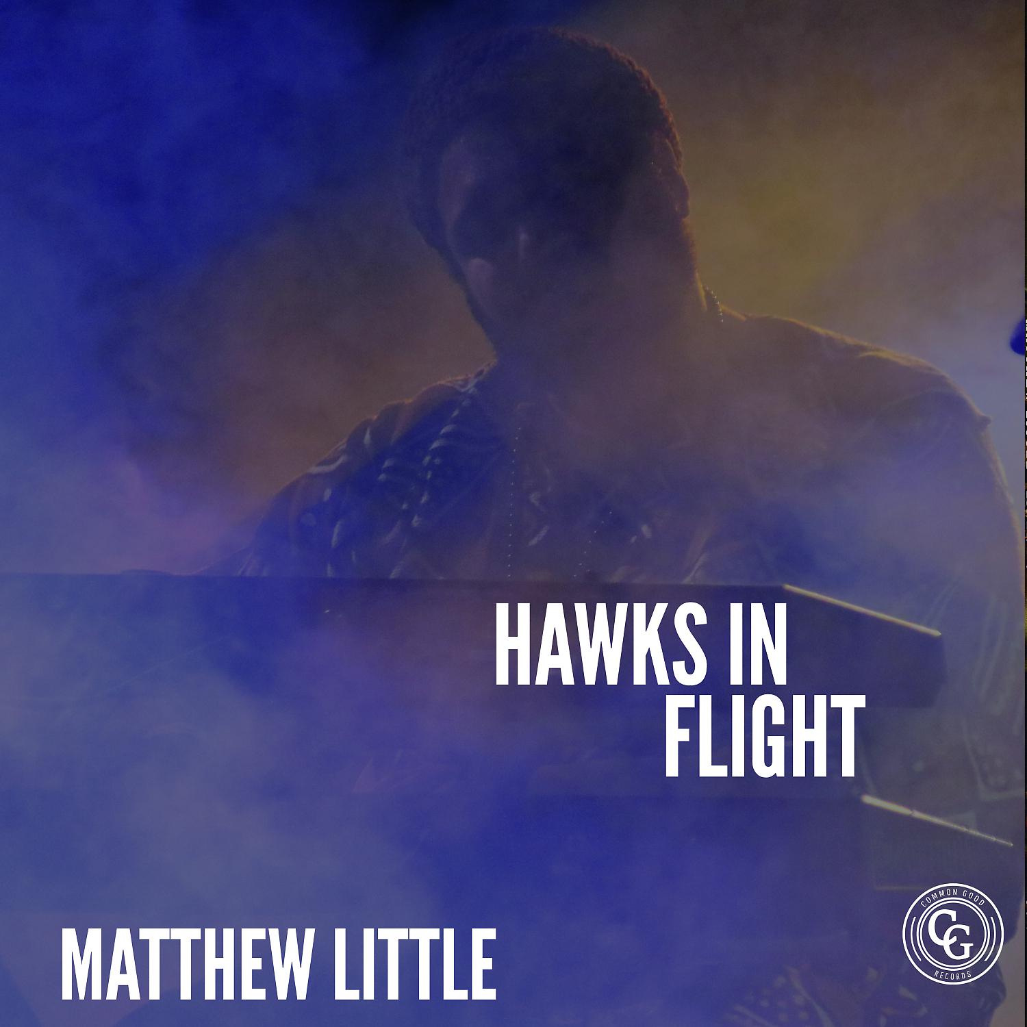 Постер альбома Hawks In Flight