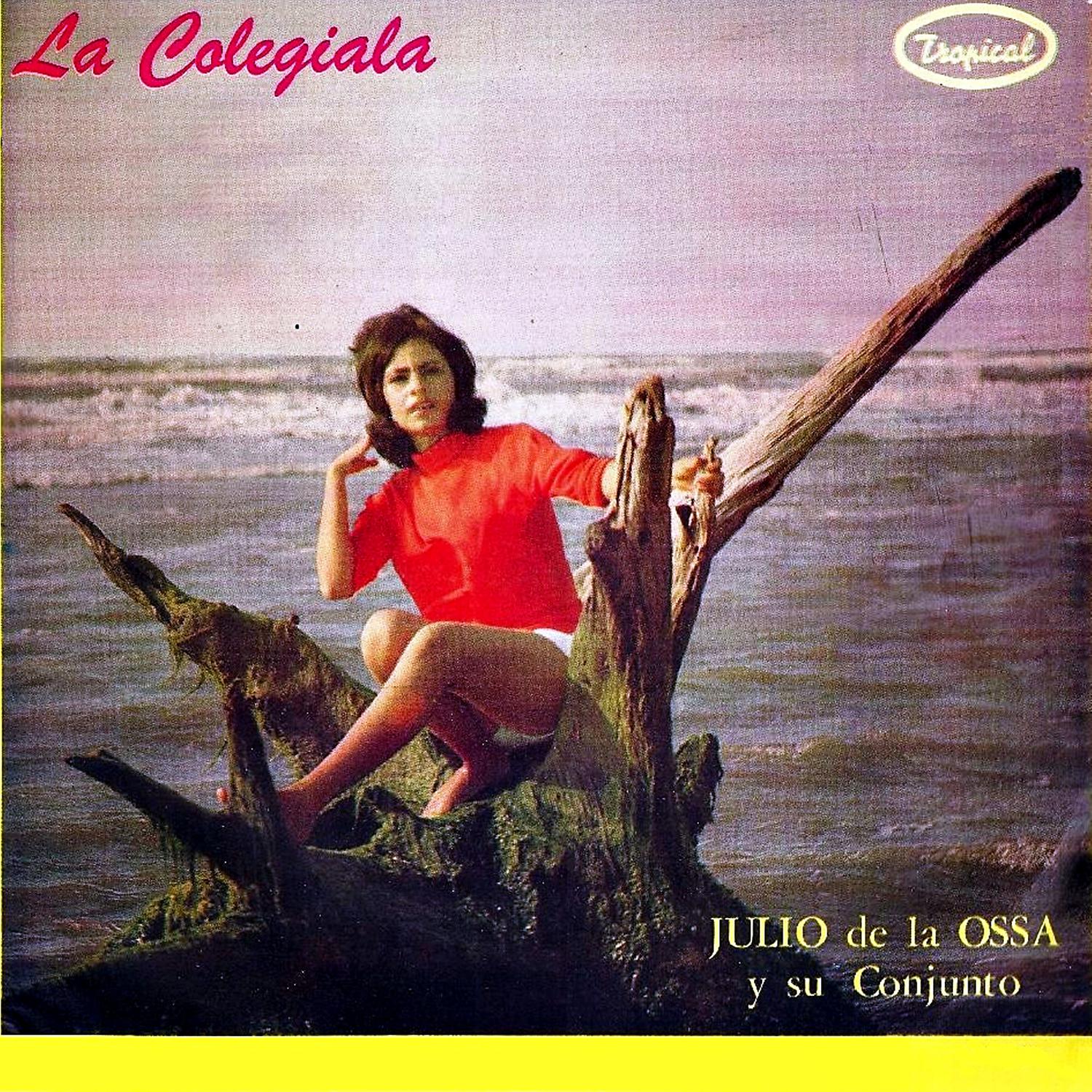 Постер альбома La colegiala