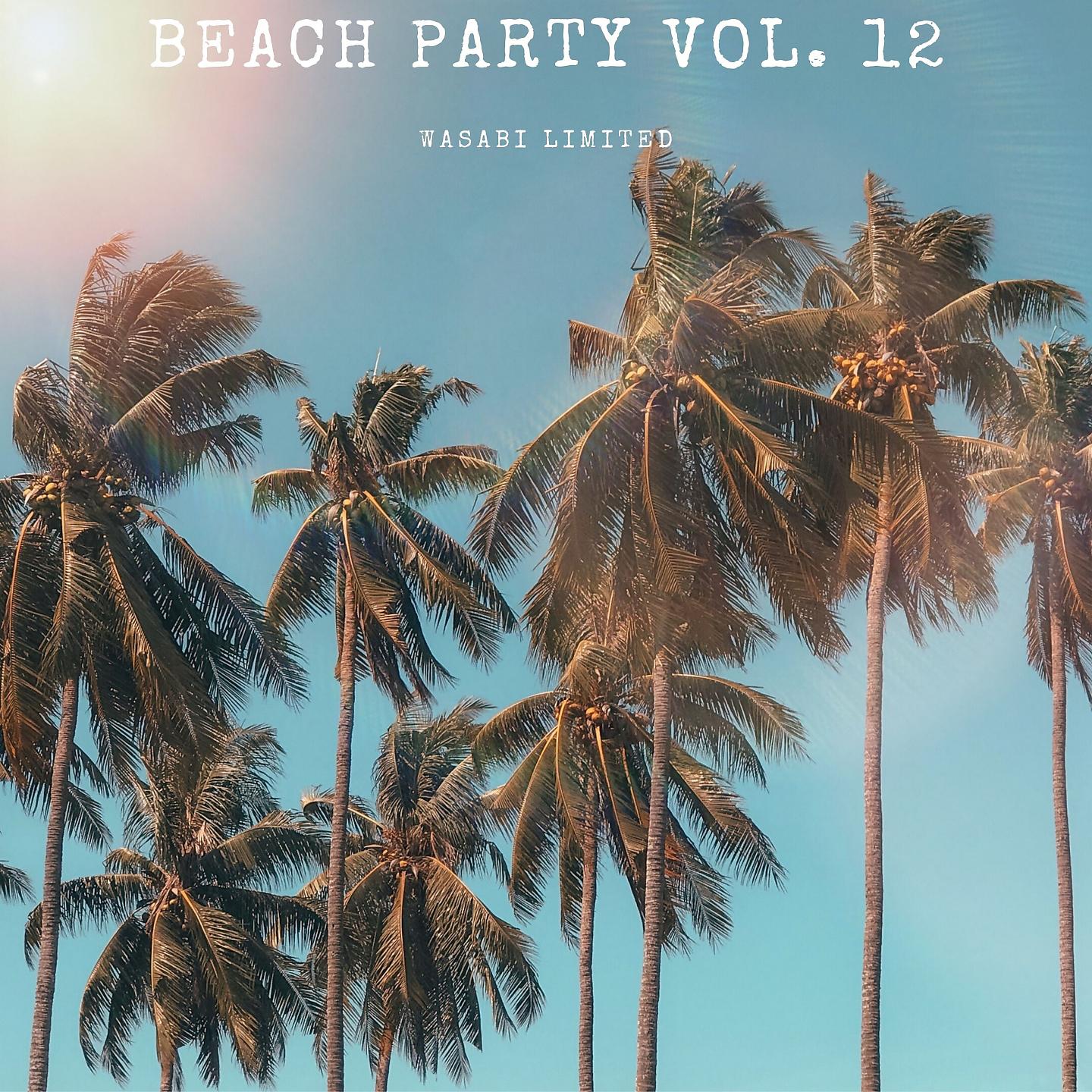 Постер альбома Beach Party Vol. 12