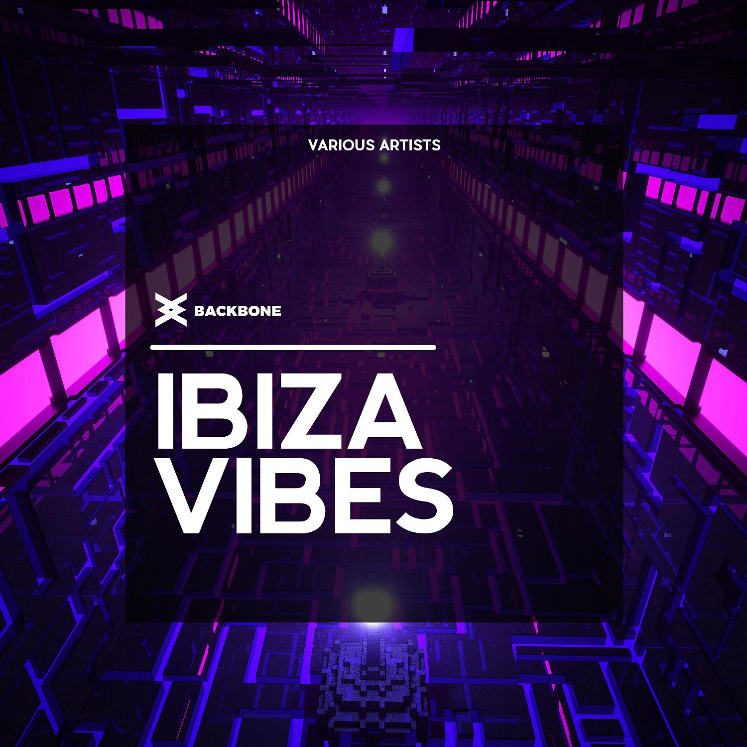 Постер альбома Ibiza Vibes