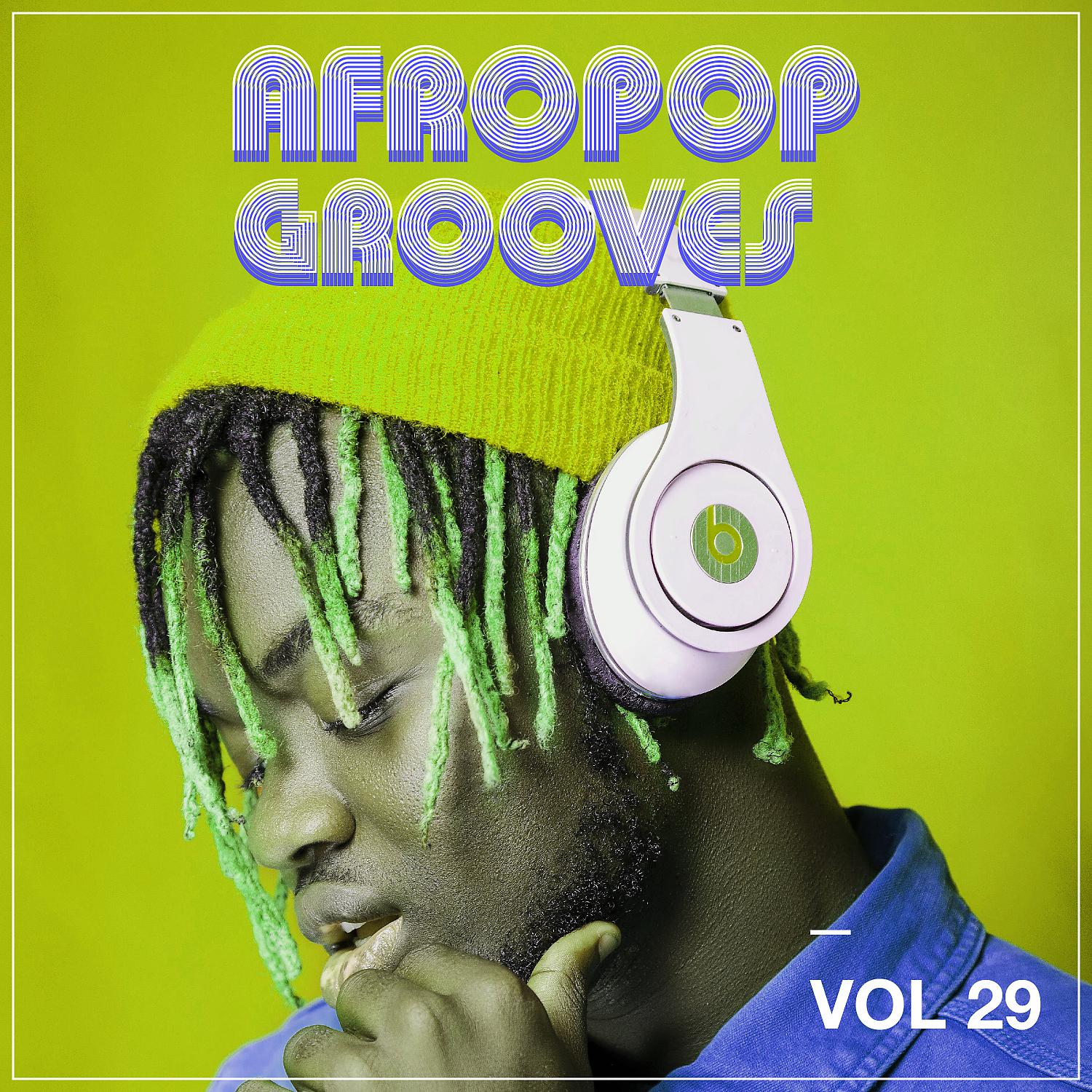 Постер альбома Afropop Grooves, Vol. 29