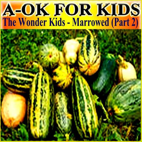 Постер альбома The Wonder Kids - Marrowed