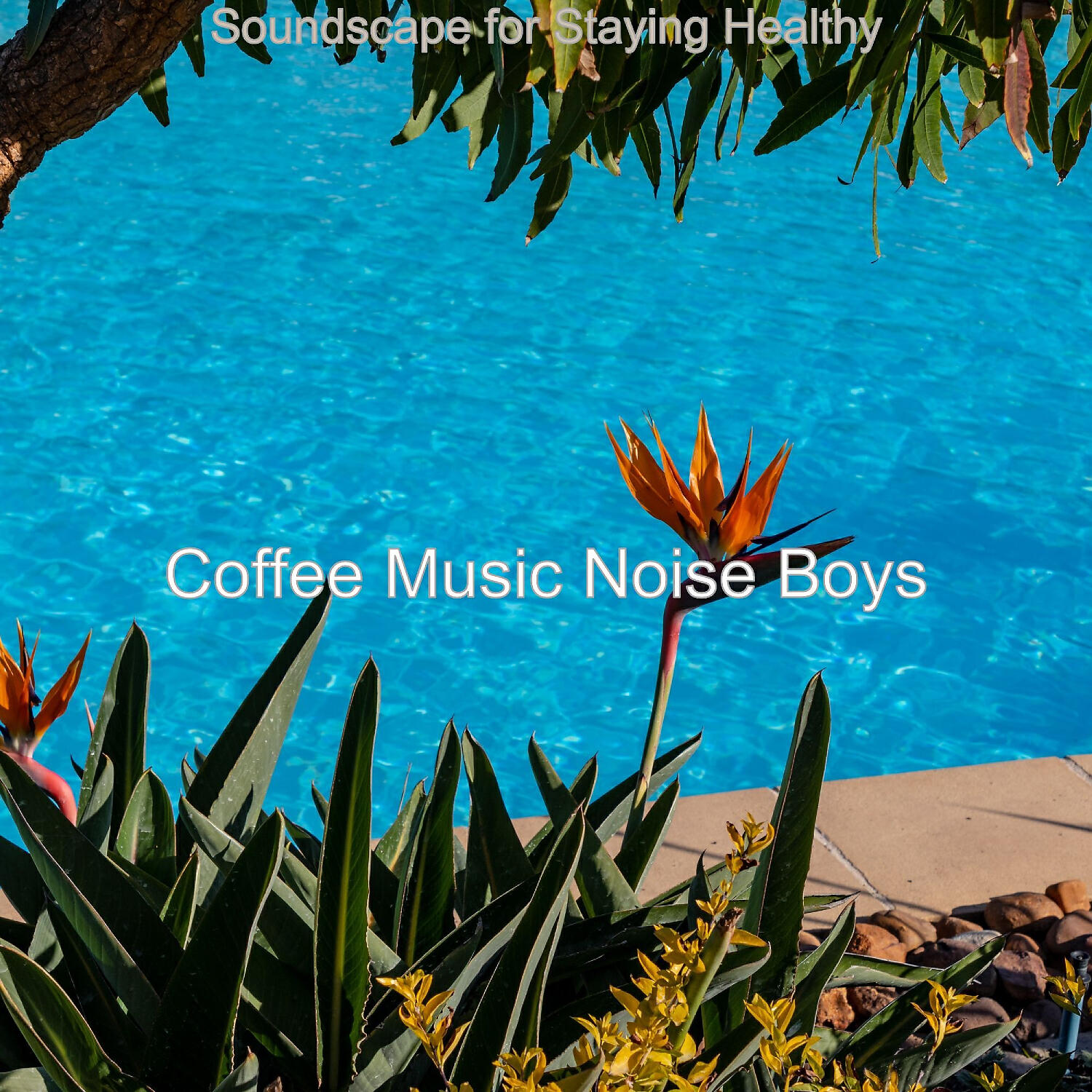 Coffee Music Noise Boys - Magnificent Backdrop for Staying Focused