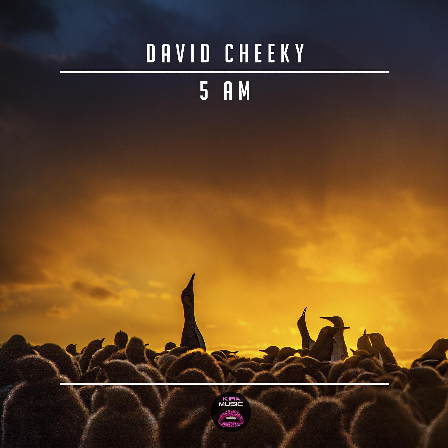 David Cheeky - I'm in Love