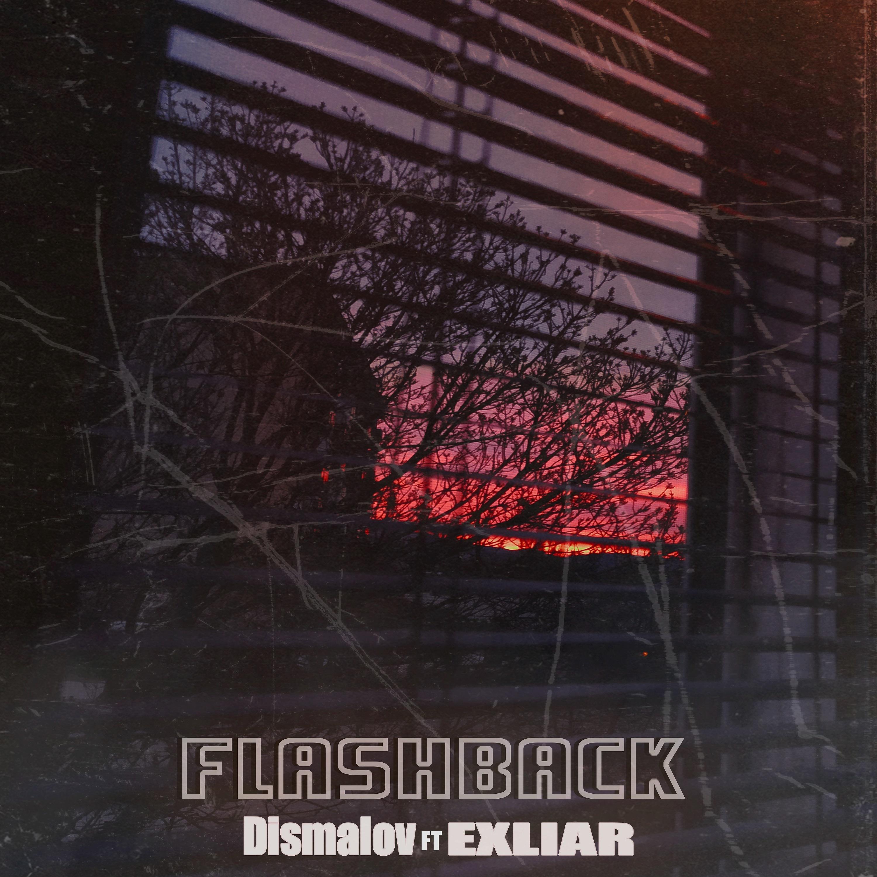 Постер альбома Flashback (feat. Exliar)