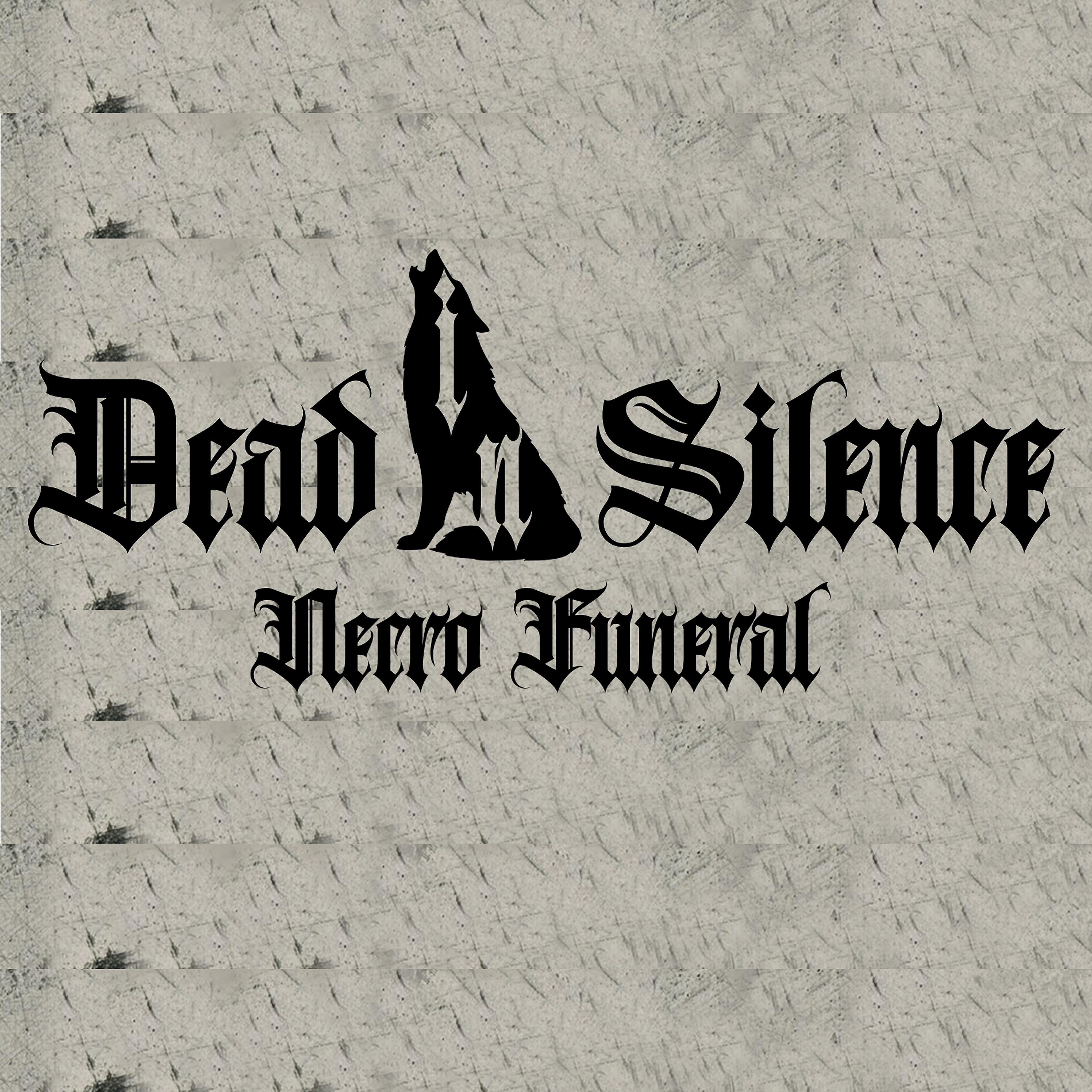 Dead in Silence - Necro Funeral