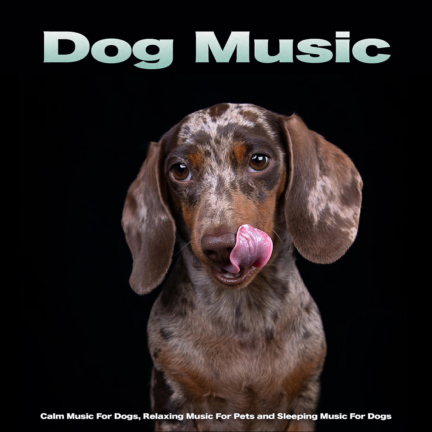 Dog Music - Calm Dog Music