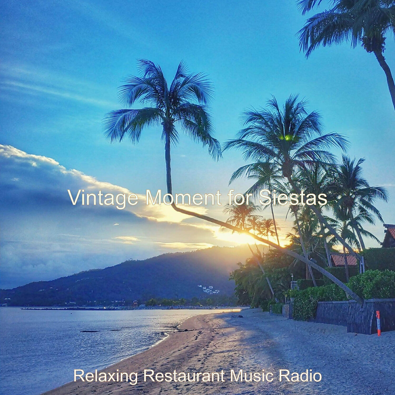 Relaxing Restaurant Music Radio - No Drums Jazz - Vibe for Staying Focused