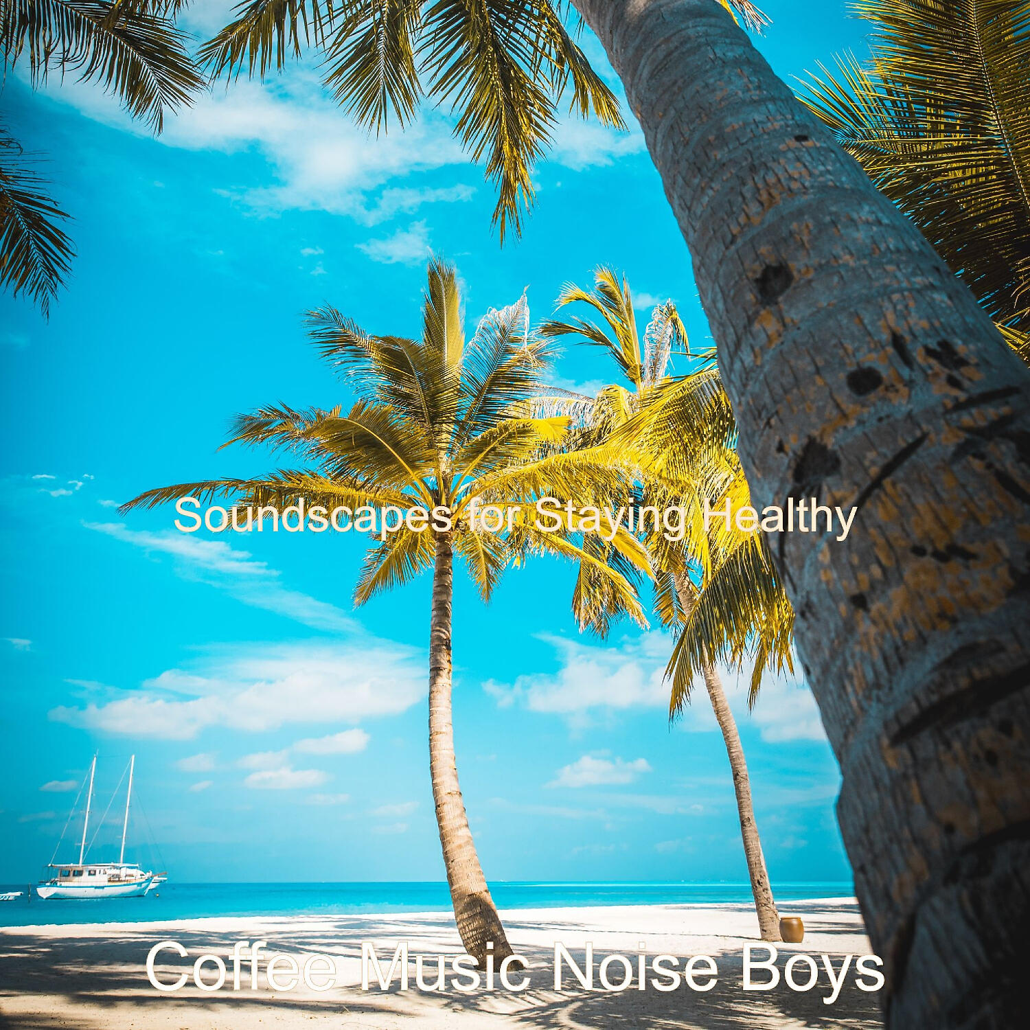 Coffee Music Noise Boys - Wicked Jazz Trio - Background for Social Distancing