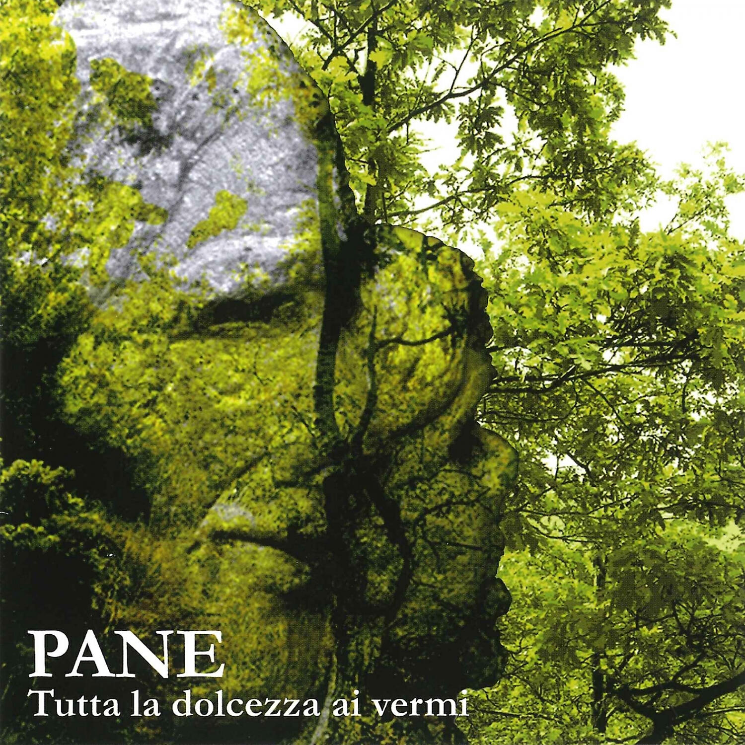 Pane - Bolla celeste