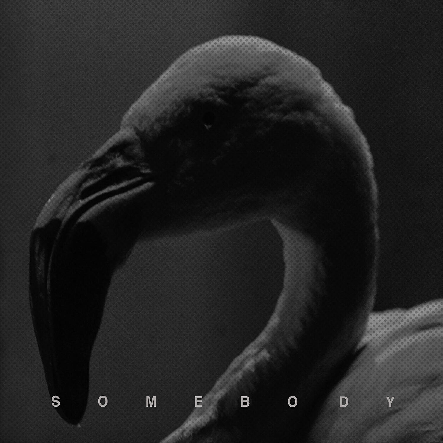 Постер альбома Somebody