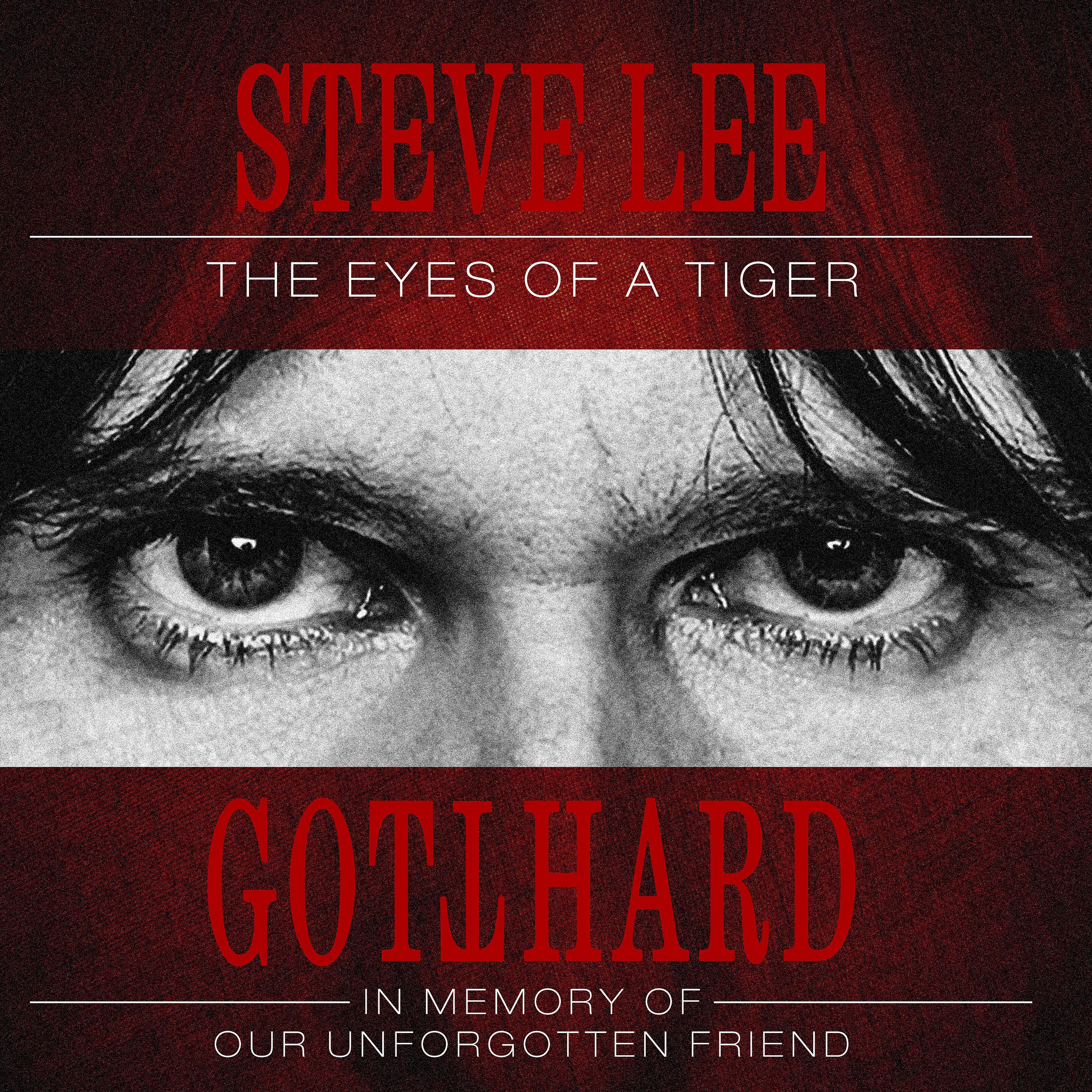 Постер альбома Eye Of The Tiger