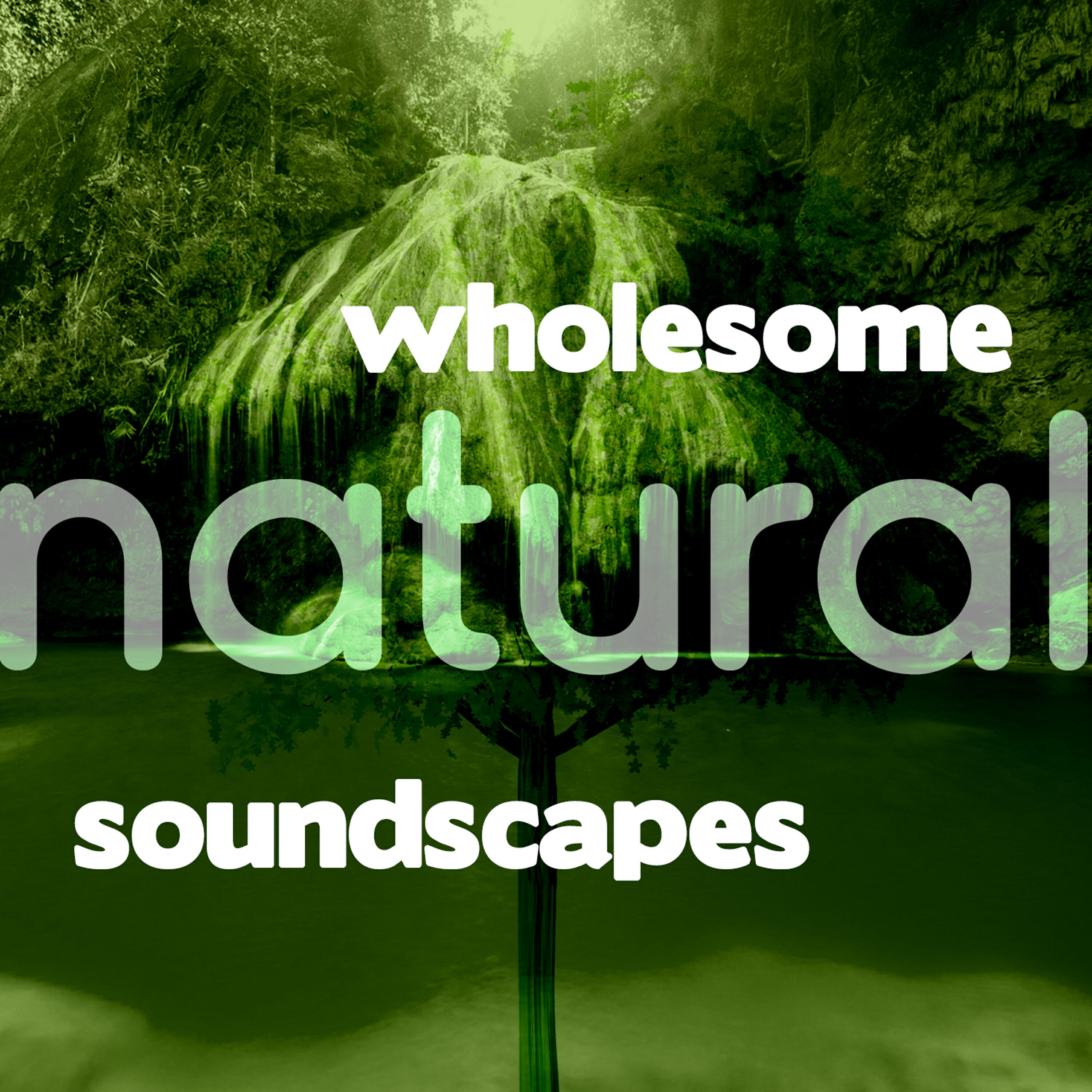 Forest Soundscapes - Rhythm of the Water