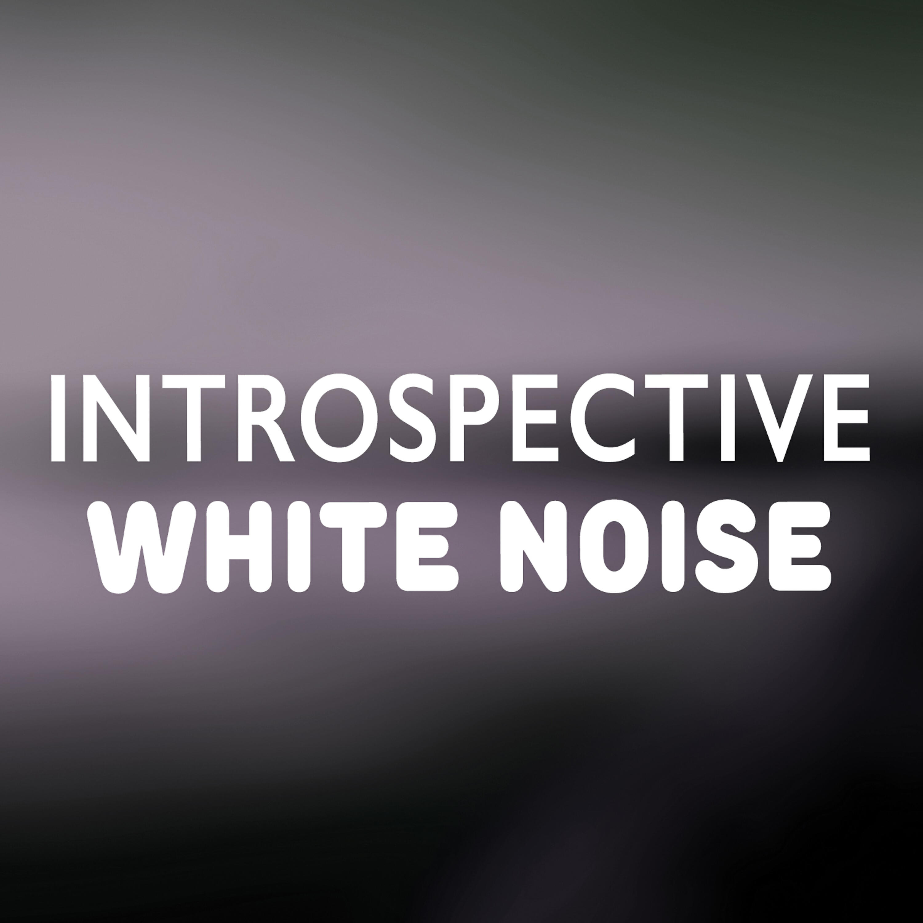 Natrue White Noise - White Noise: Microwave Oven
