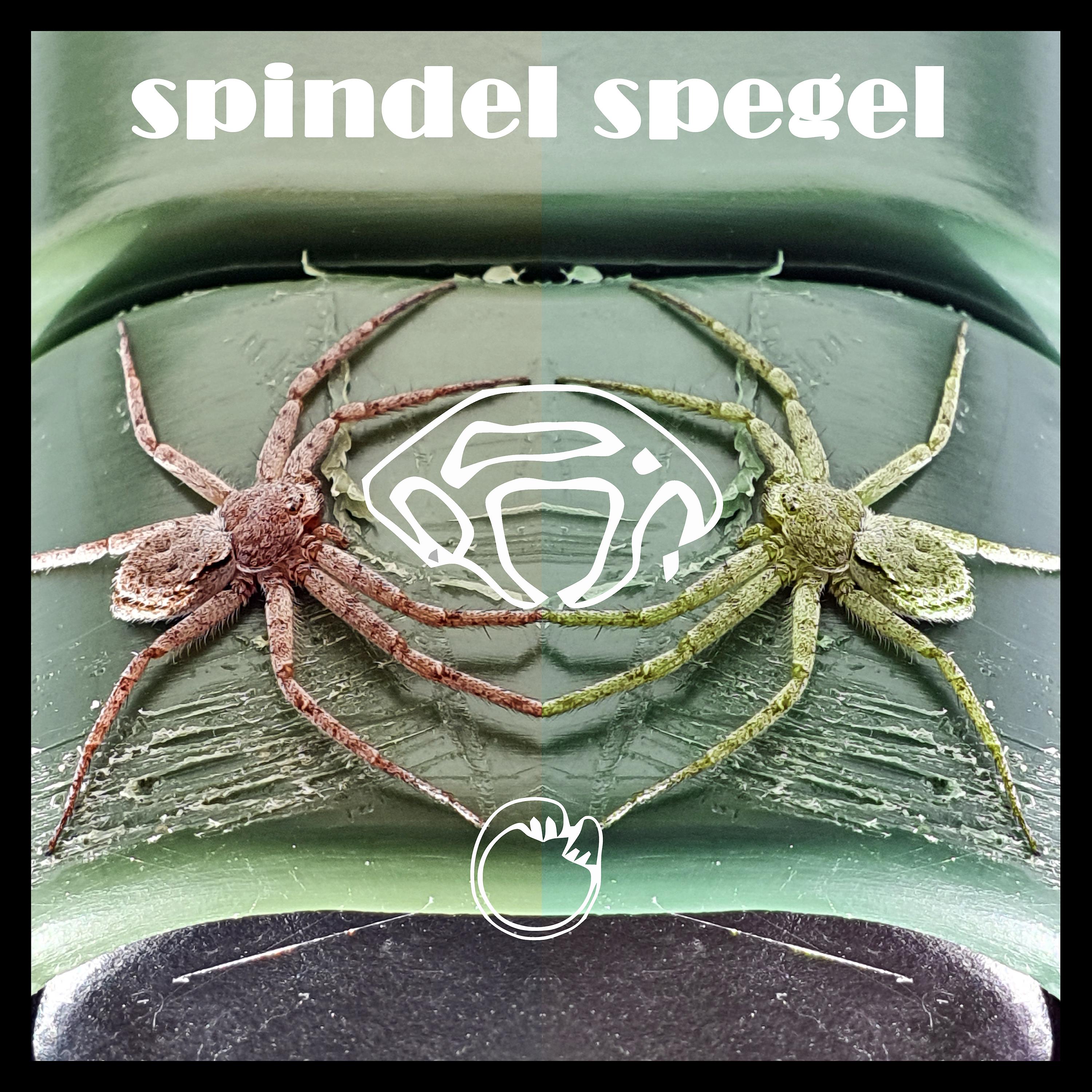 Постер альбома Spindel Spegel