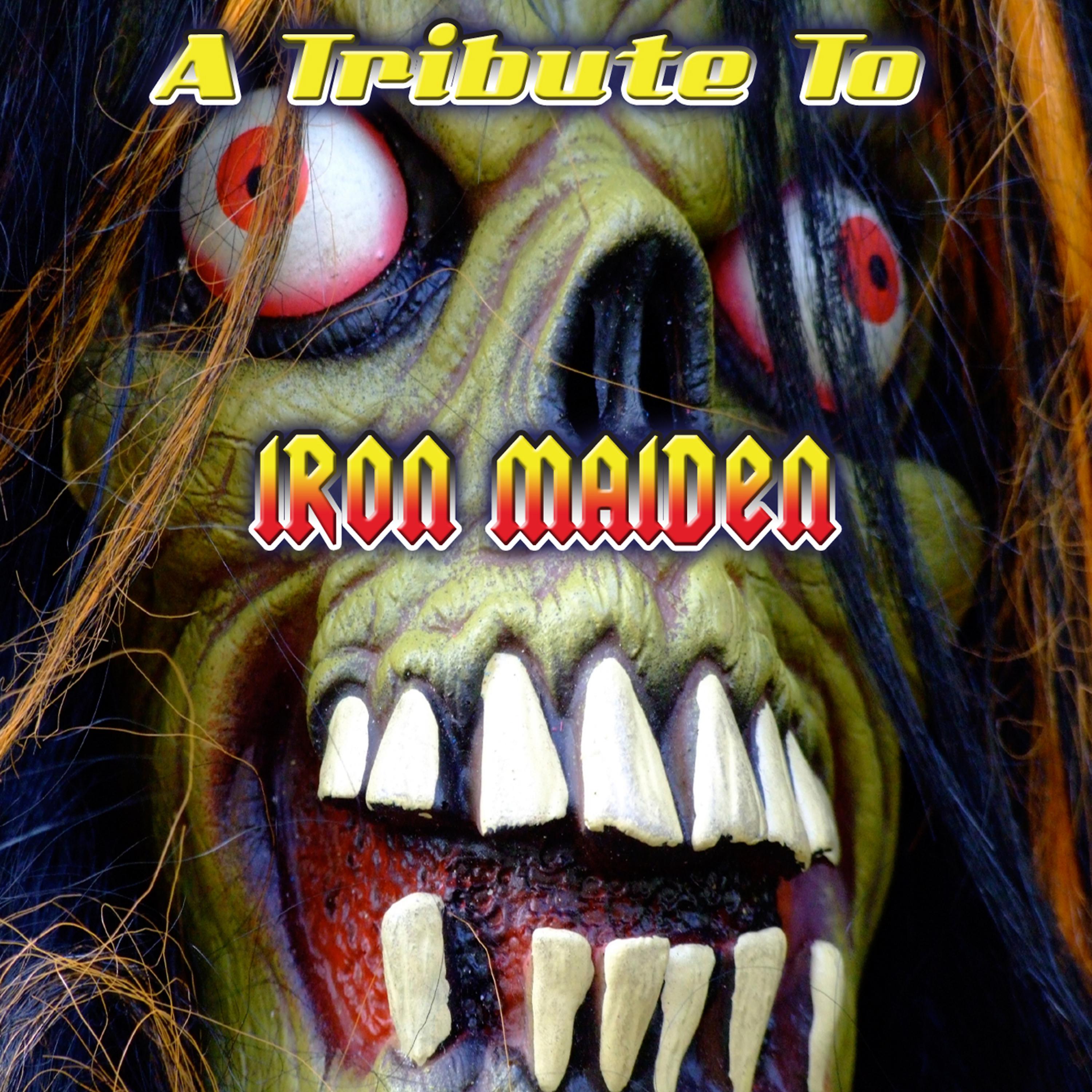 Постер альбома A Tribute To Iron Maiden