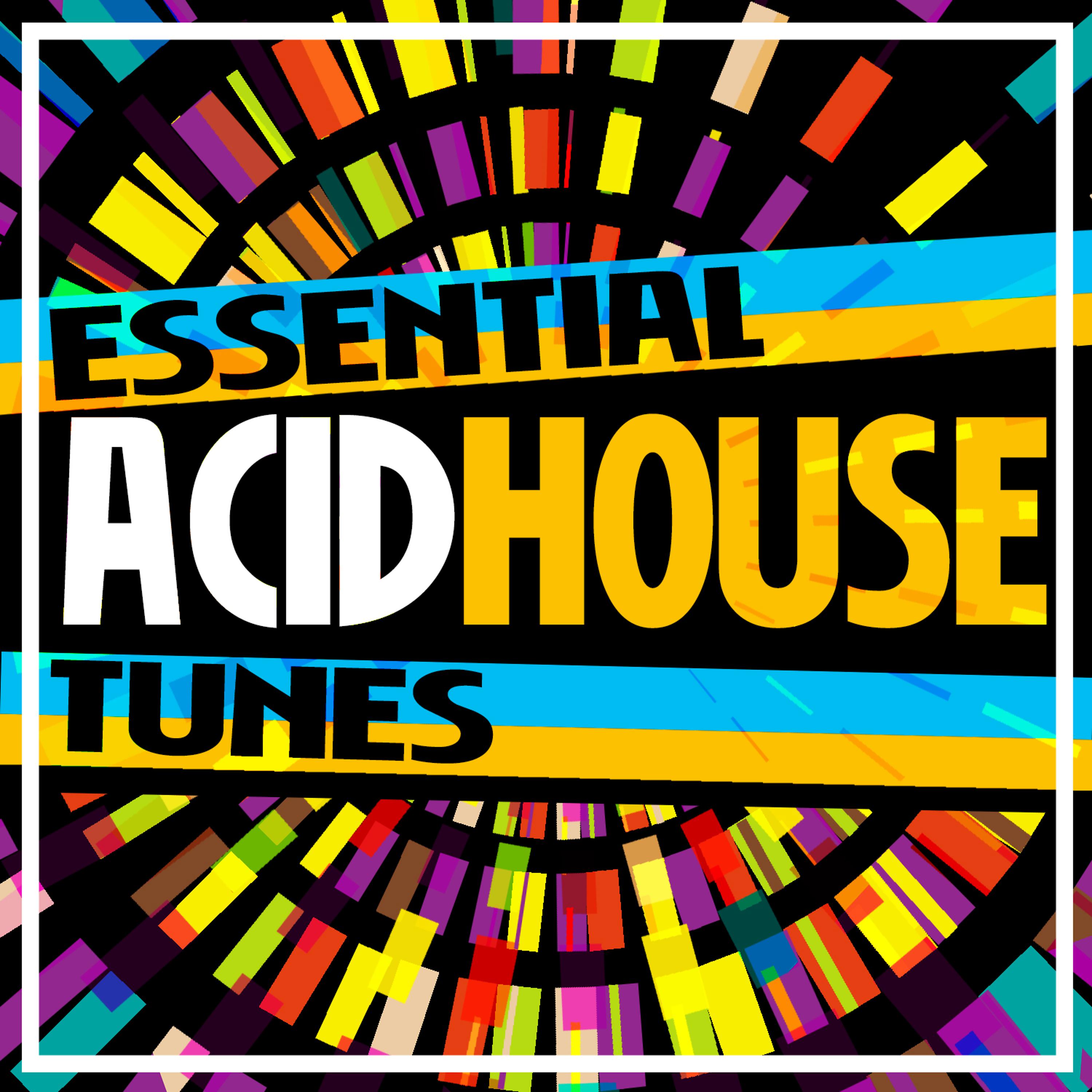 Постер альбома Essential Acid House Tunes