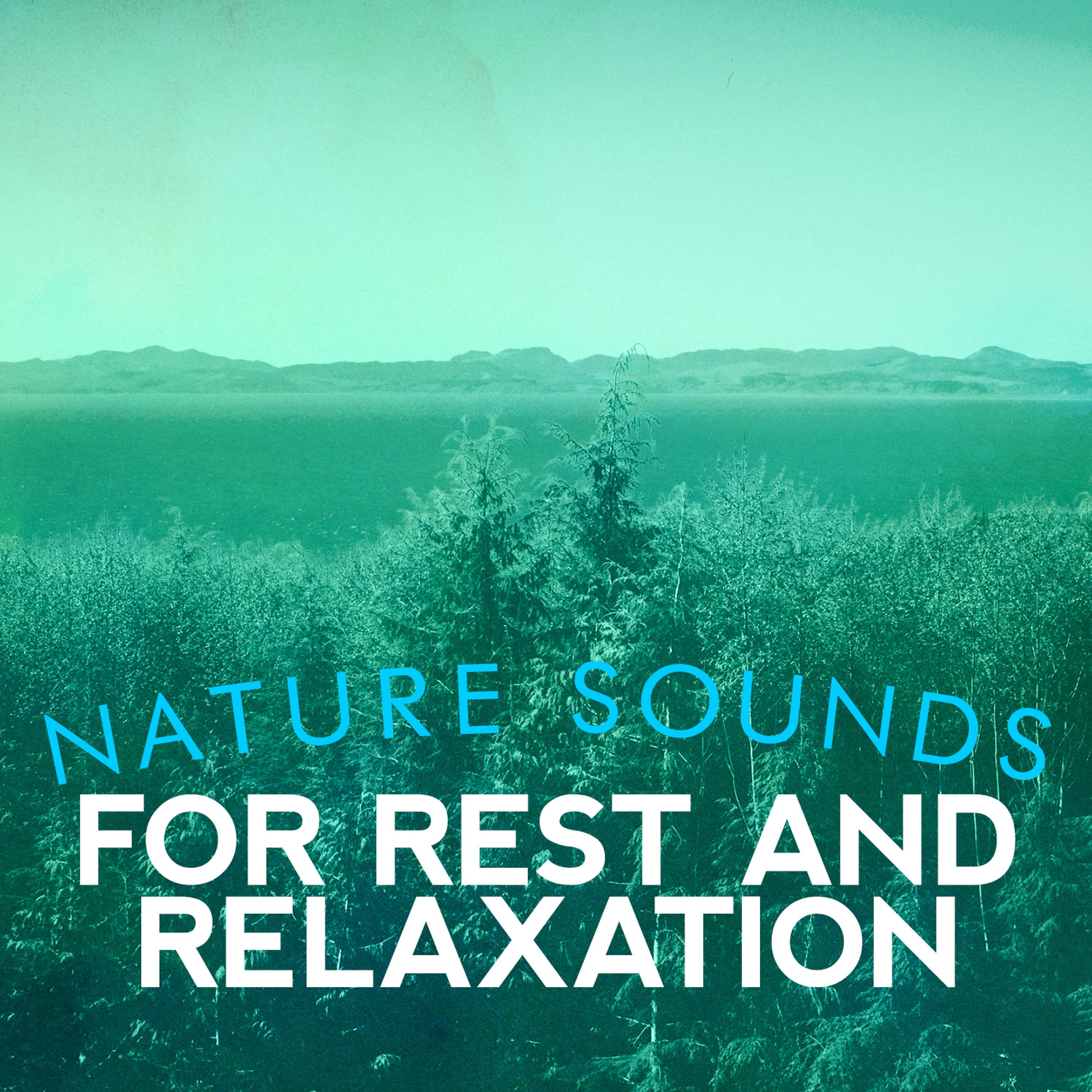 Постер альбома Nature Sounds for Rest and Relaxation