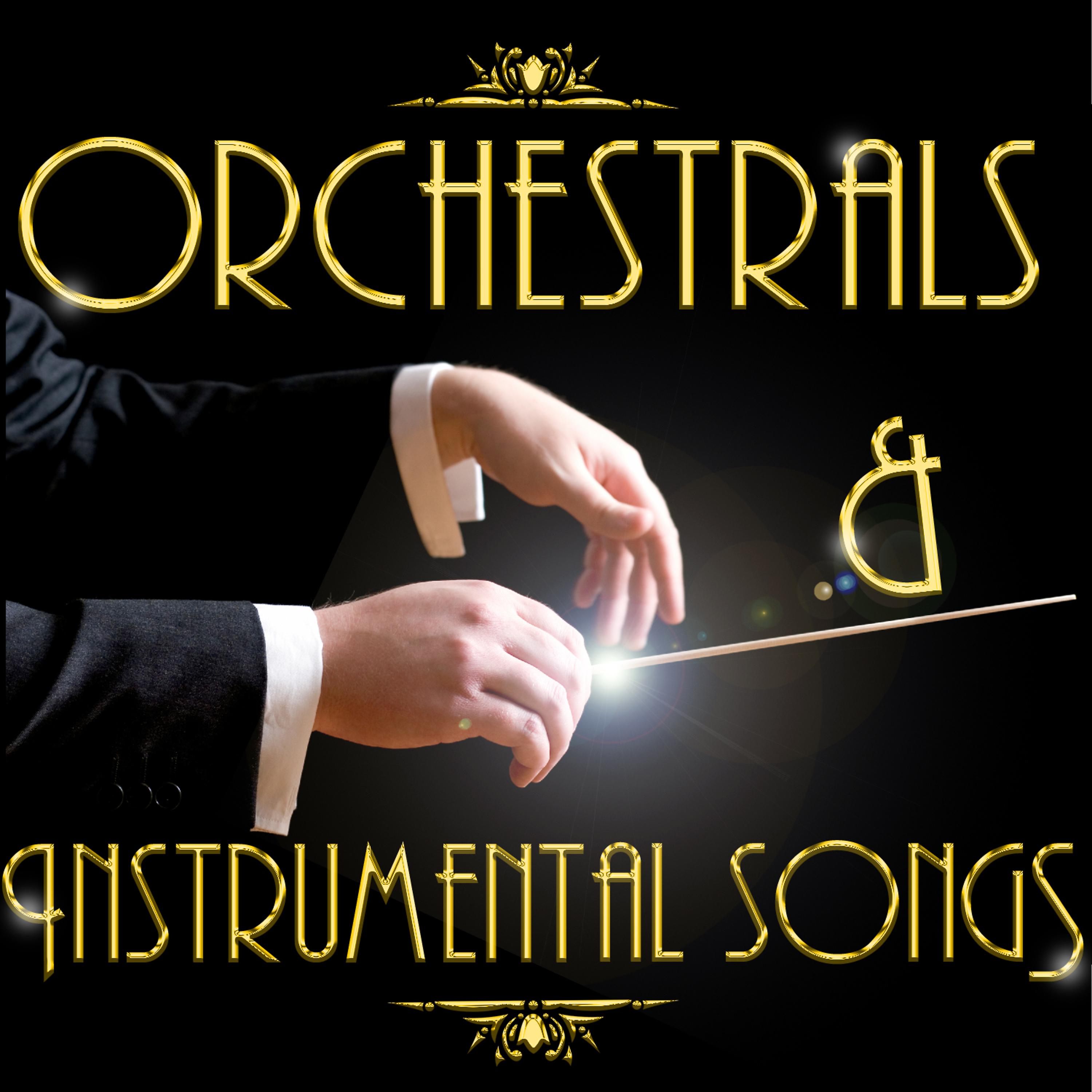 Постер альбома Orchestrals & Instrumental Songs