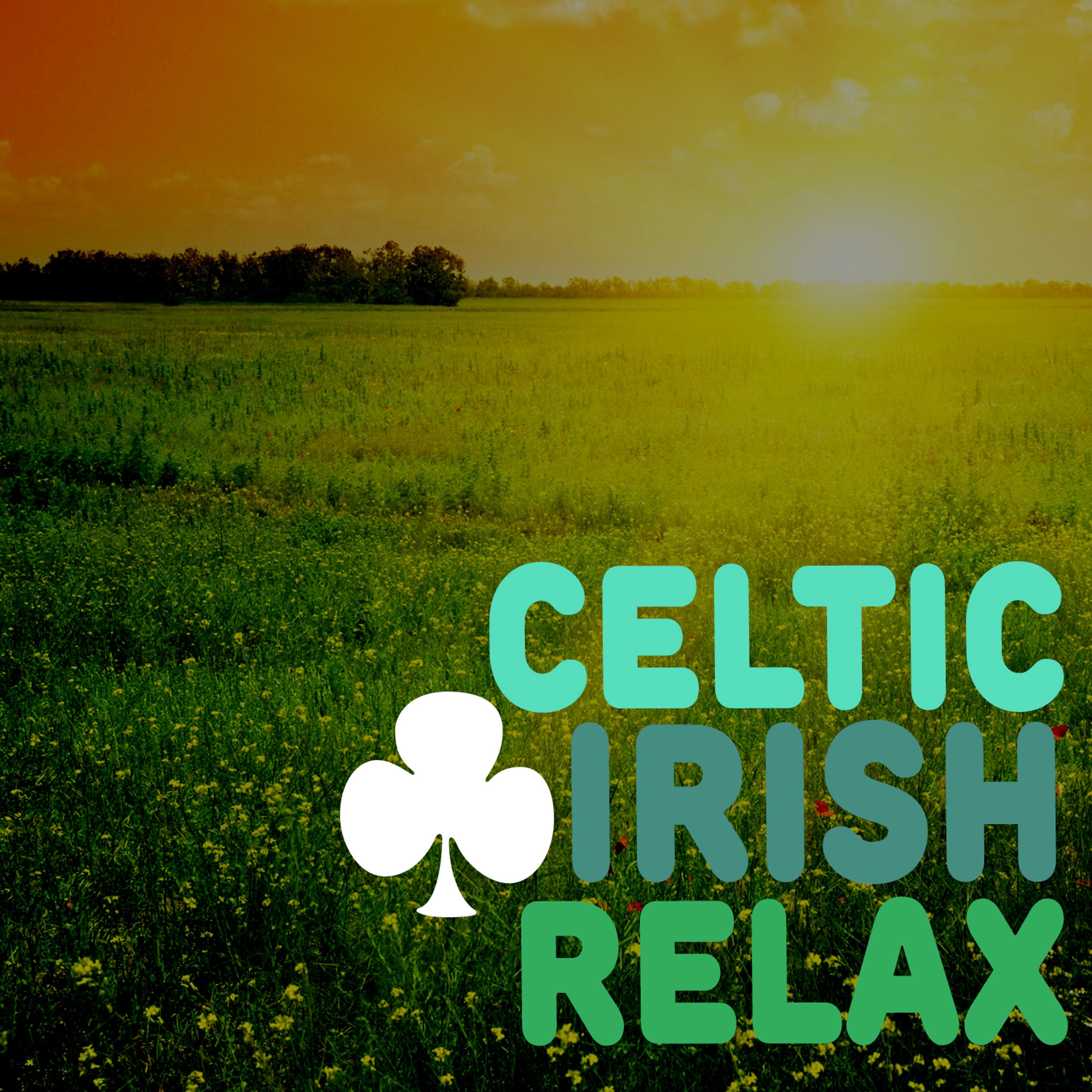 Постер альбома Celtic Irish Relax