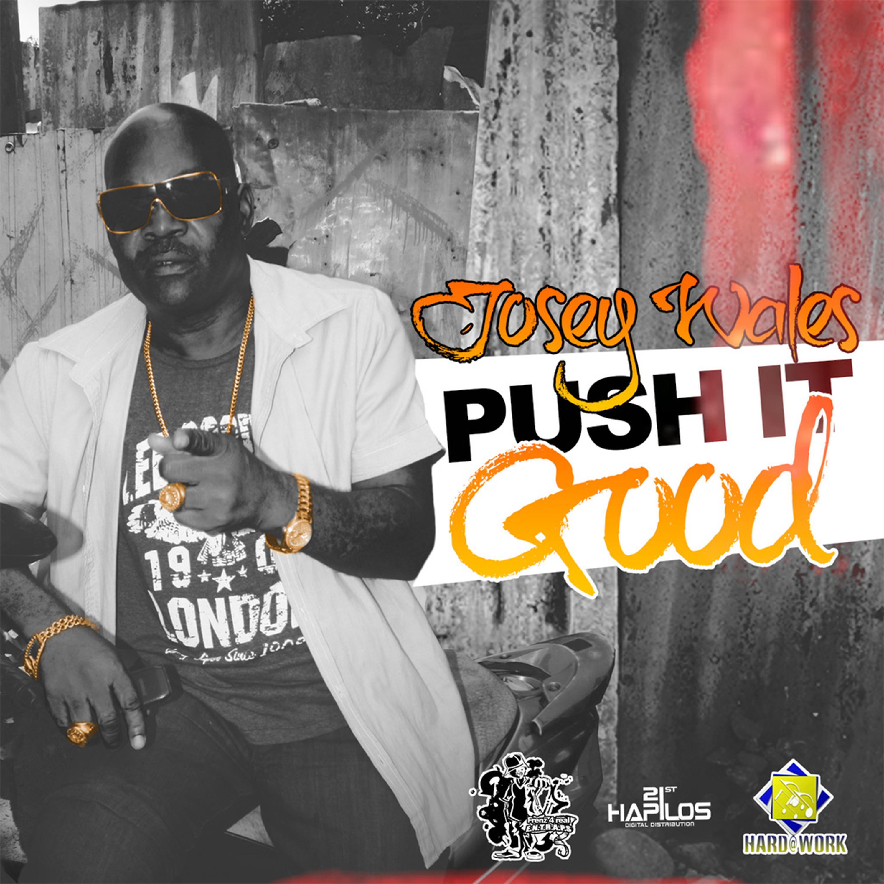 Постер альбома Push It Good - Single