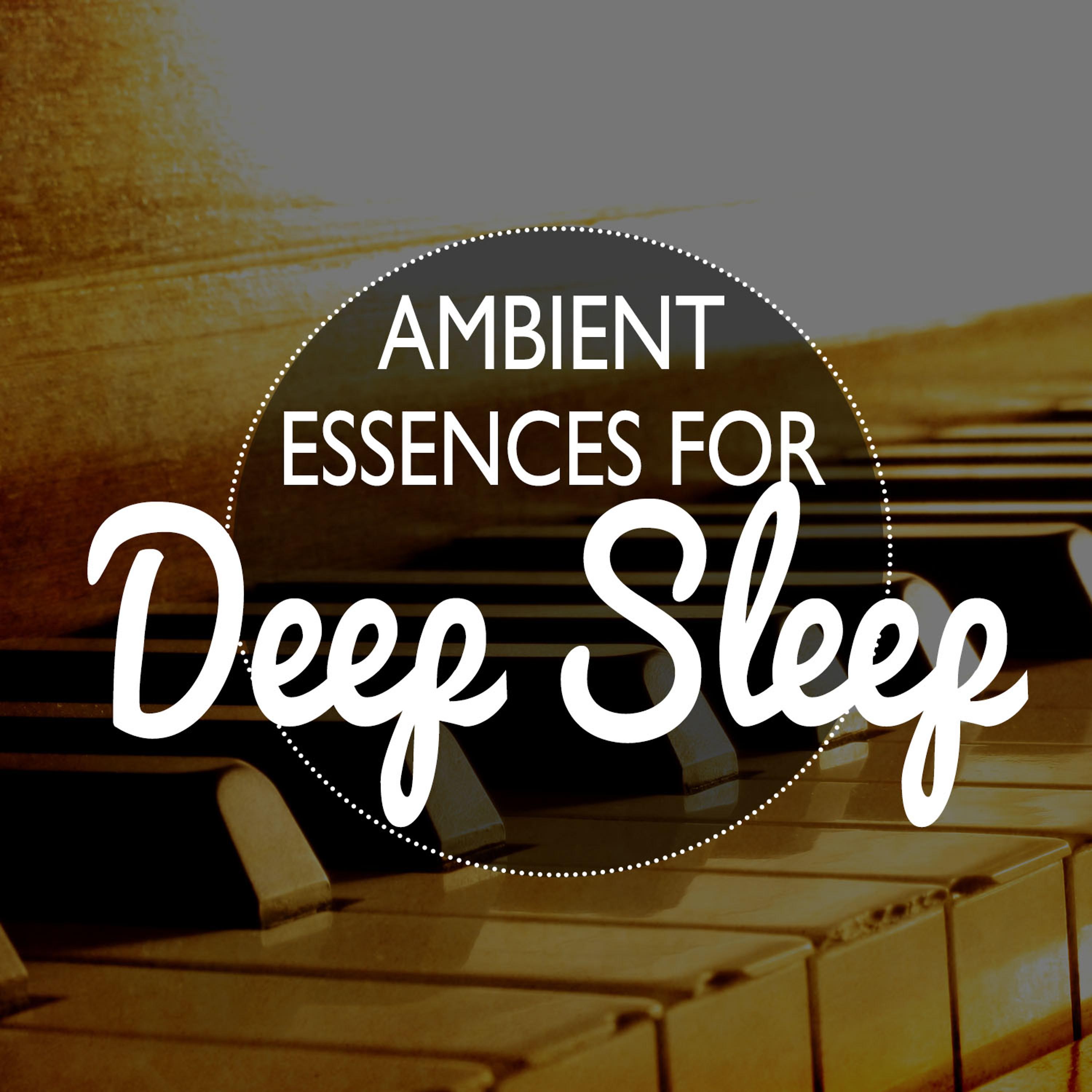 Постер альбома Ambient Essences for Deep Sleep