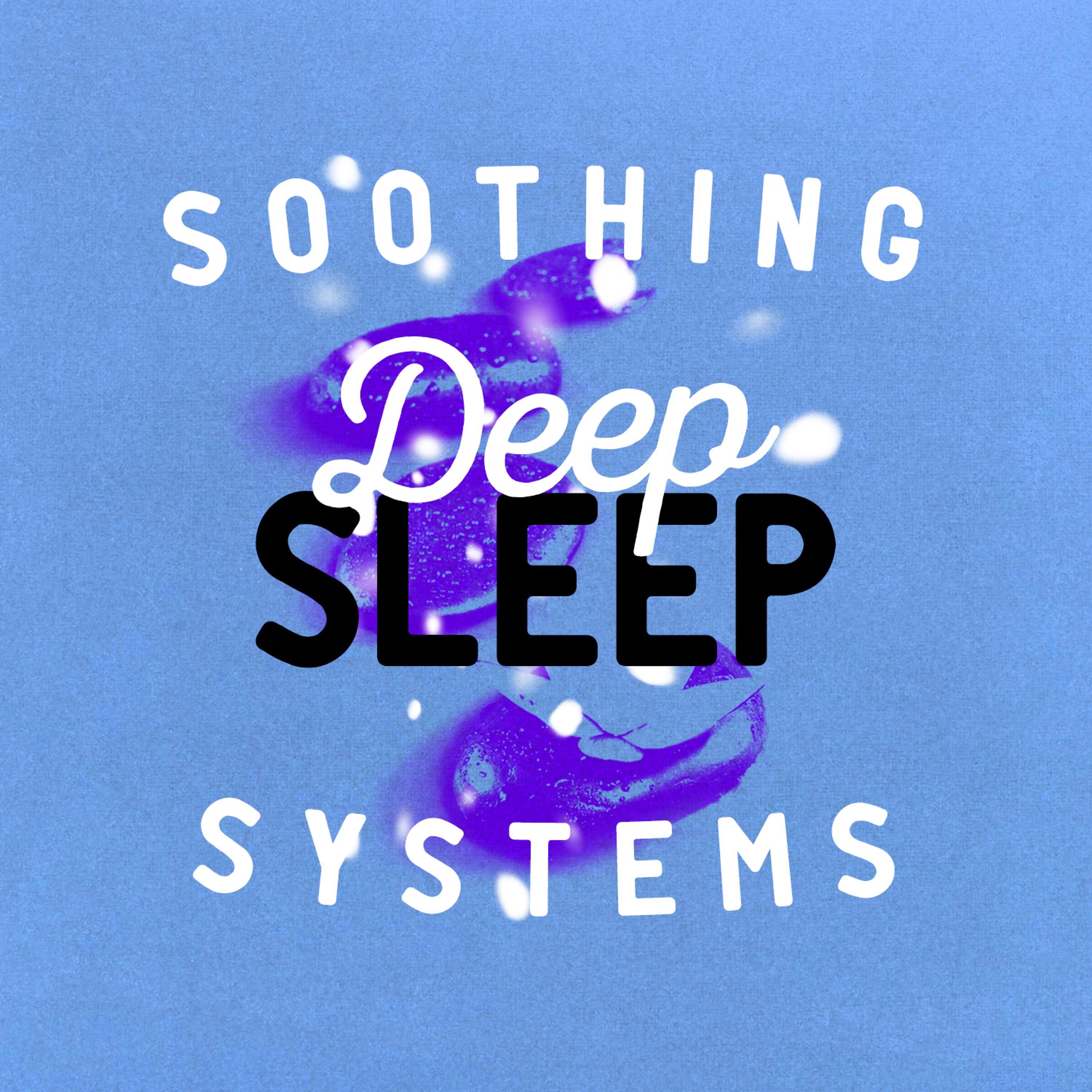 Постер альбома Soothing Deep Sleep Systems
