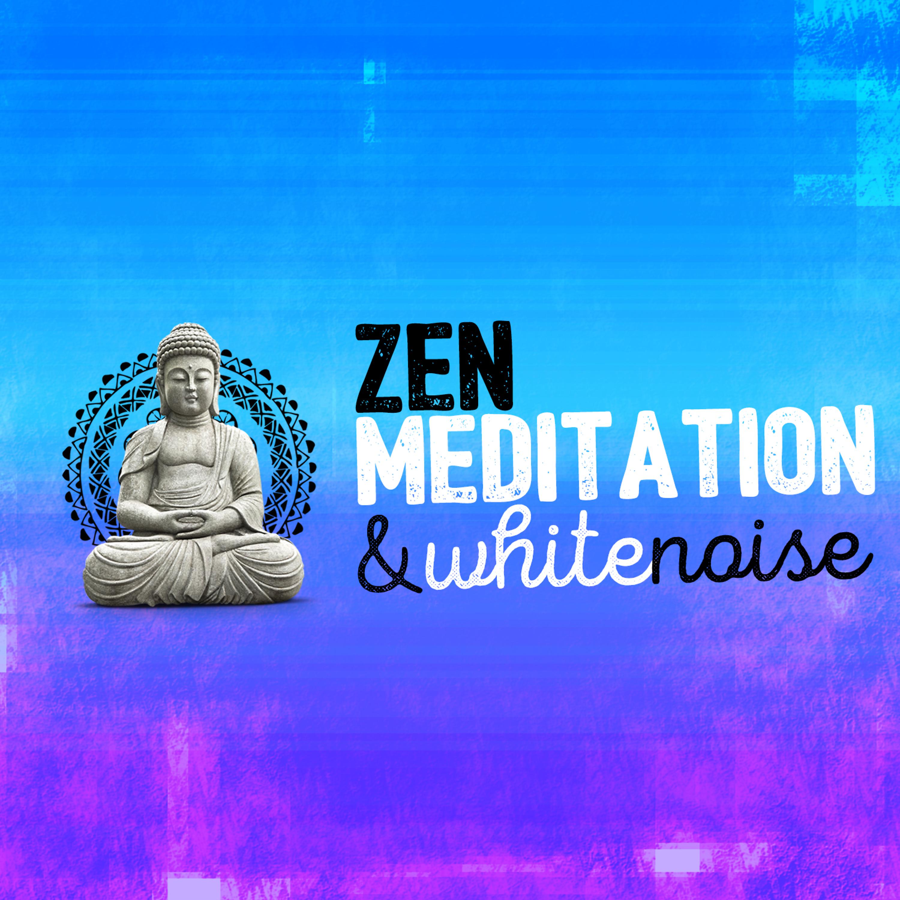 Постер альбома Zen Meditation & White Noise