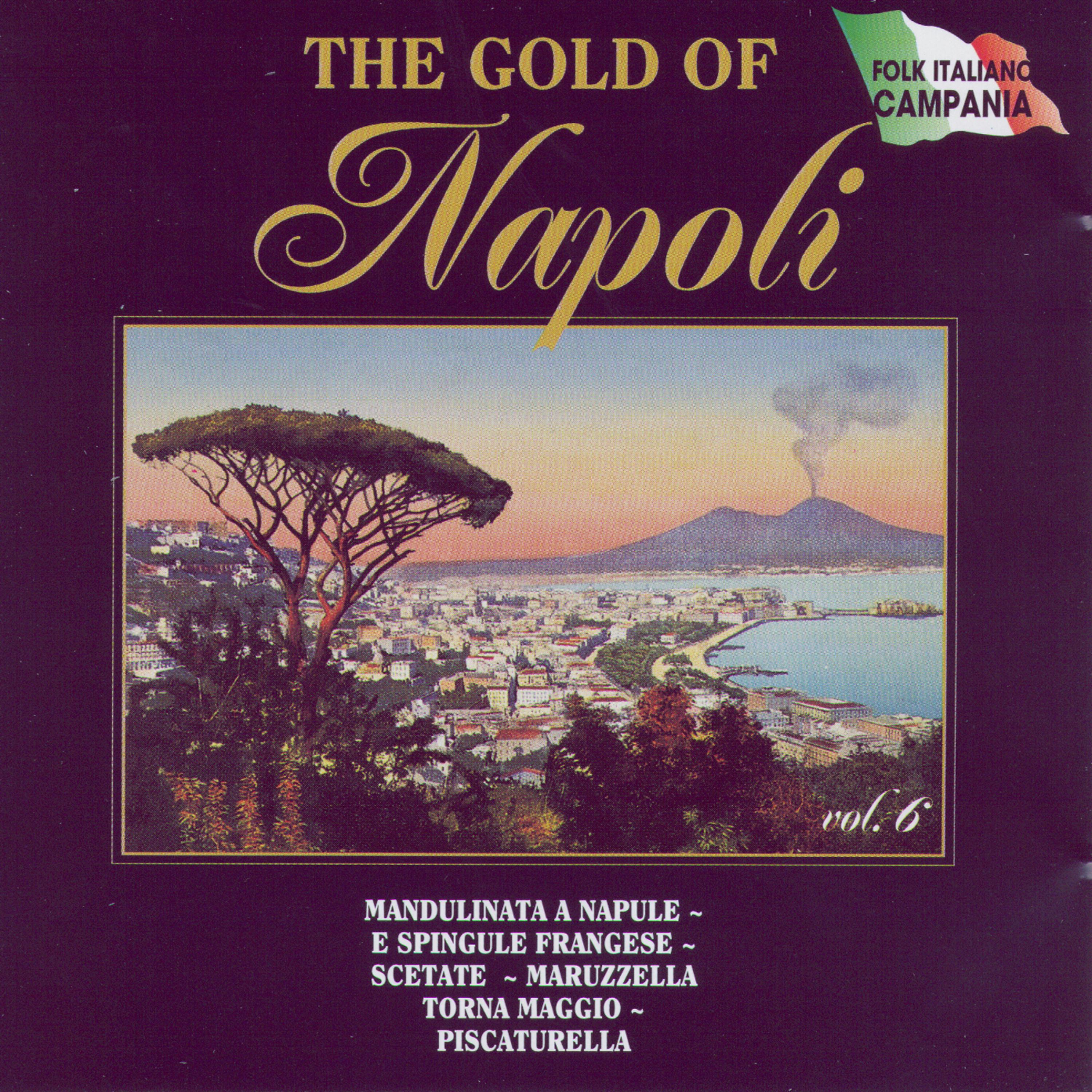 Постер альбома The Gold Of Napoli Vol 6