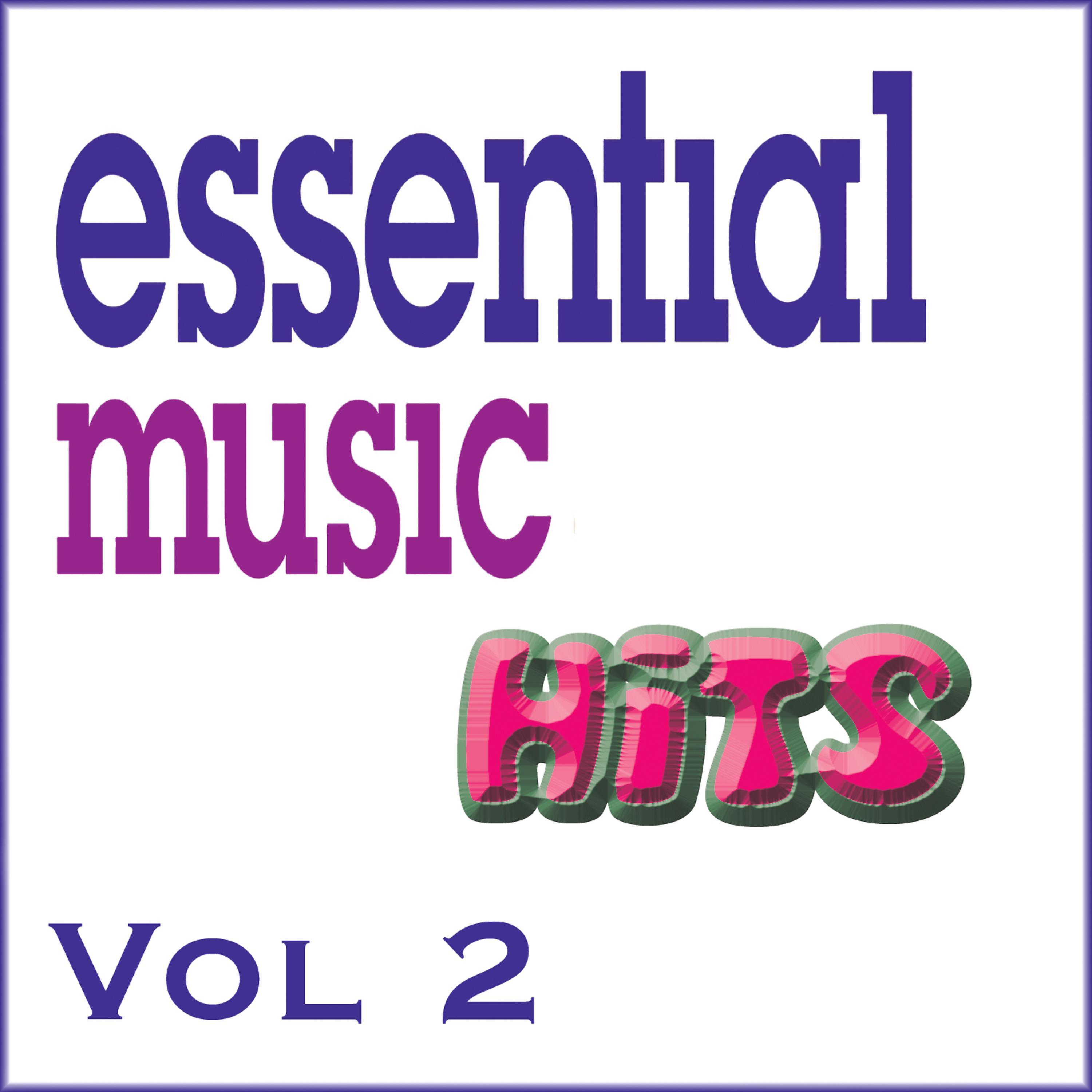 Постер альбома Essential Music Hits Vol 2