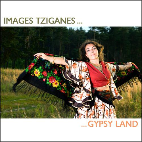 Постер альбома Images Tziganes (Gypsy Land)
