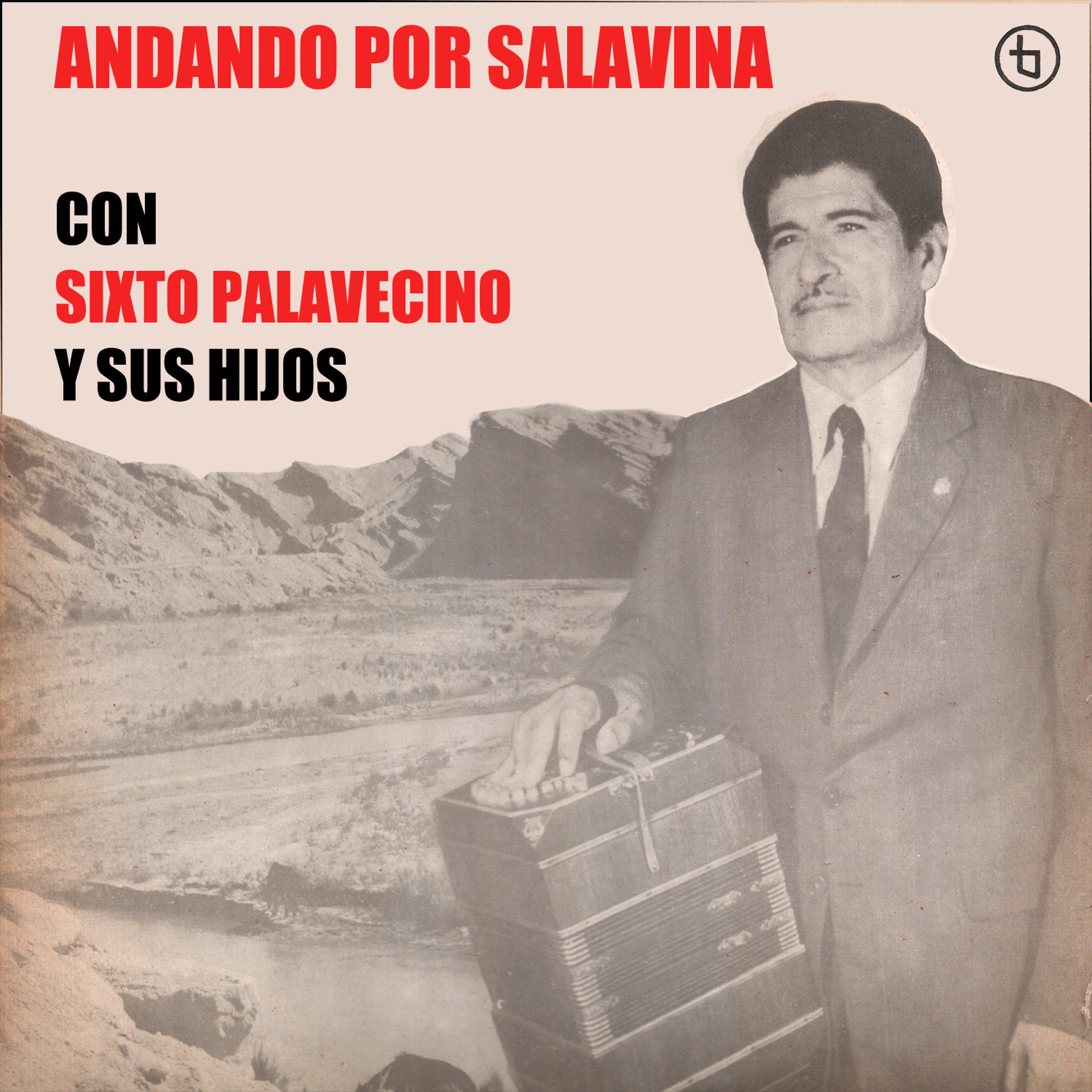 Постер альбома Andando por Salavina
