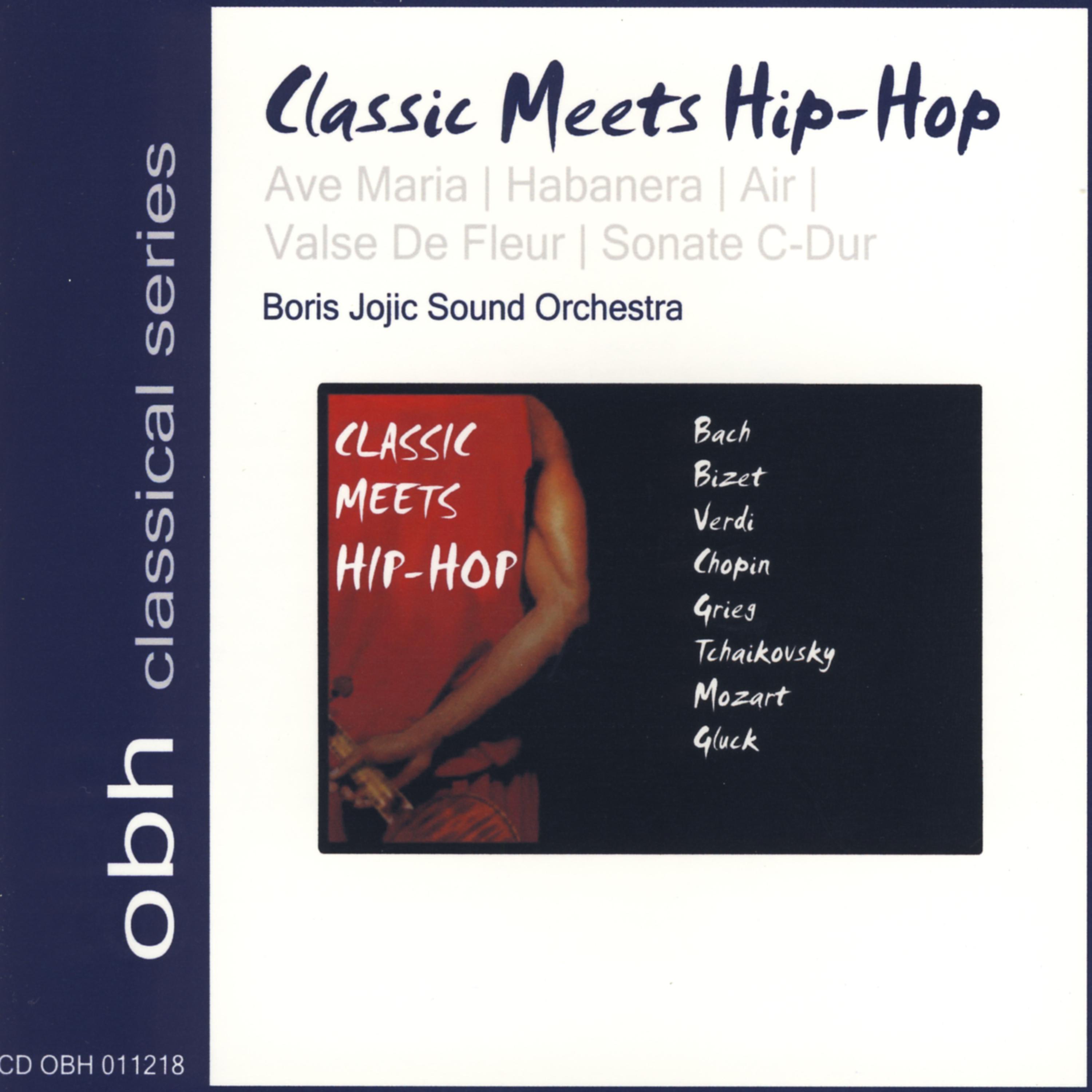 Постер альбома Classic  Meets Hip-Hop