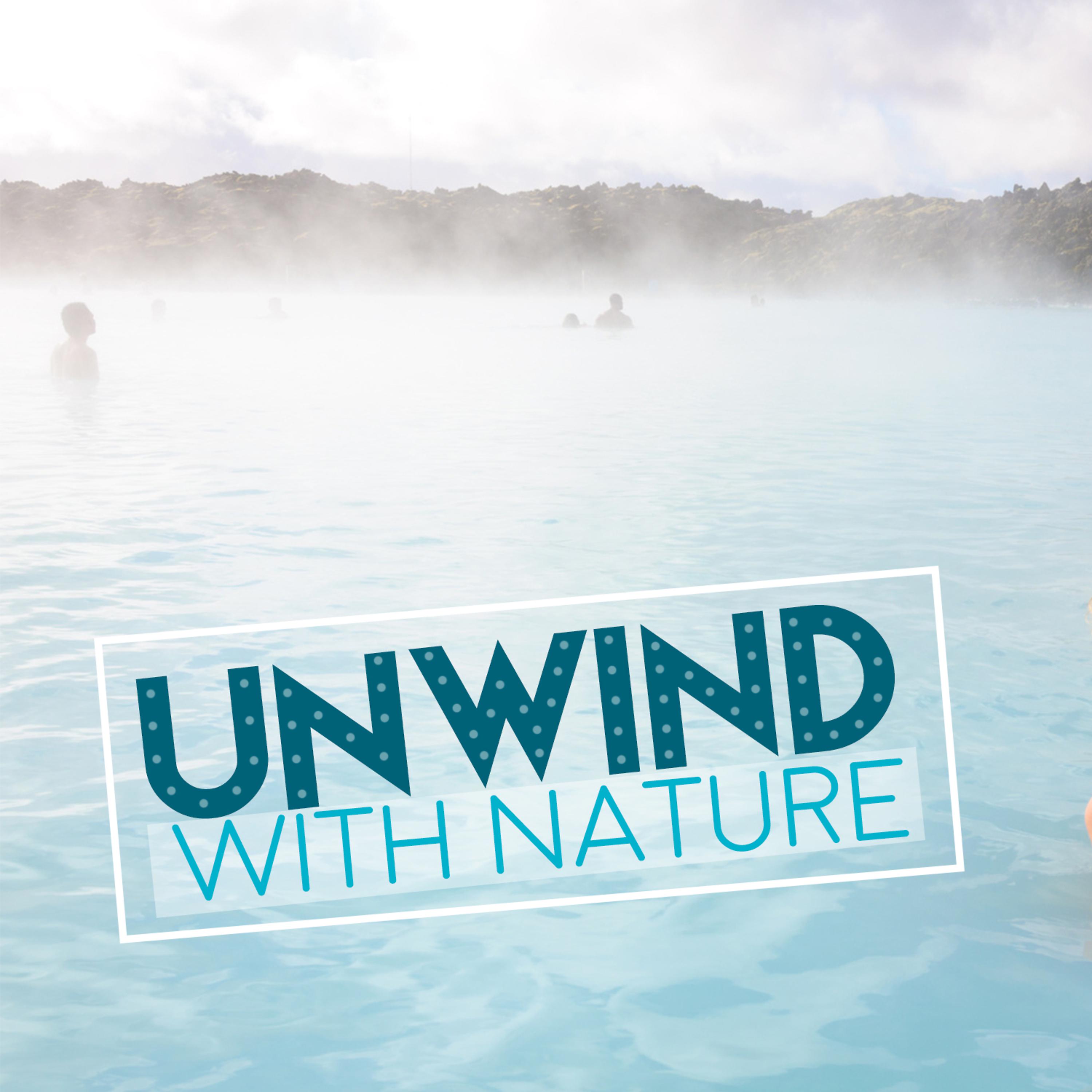 Постер альбома Unwind with Nature