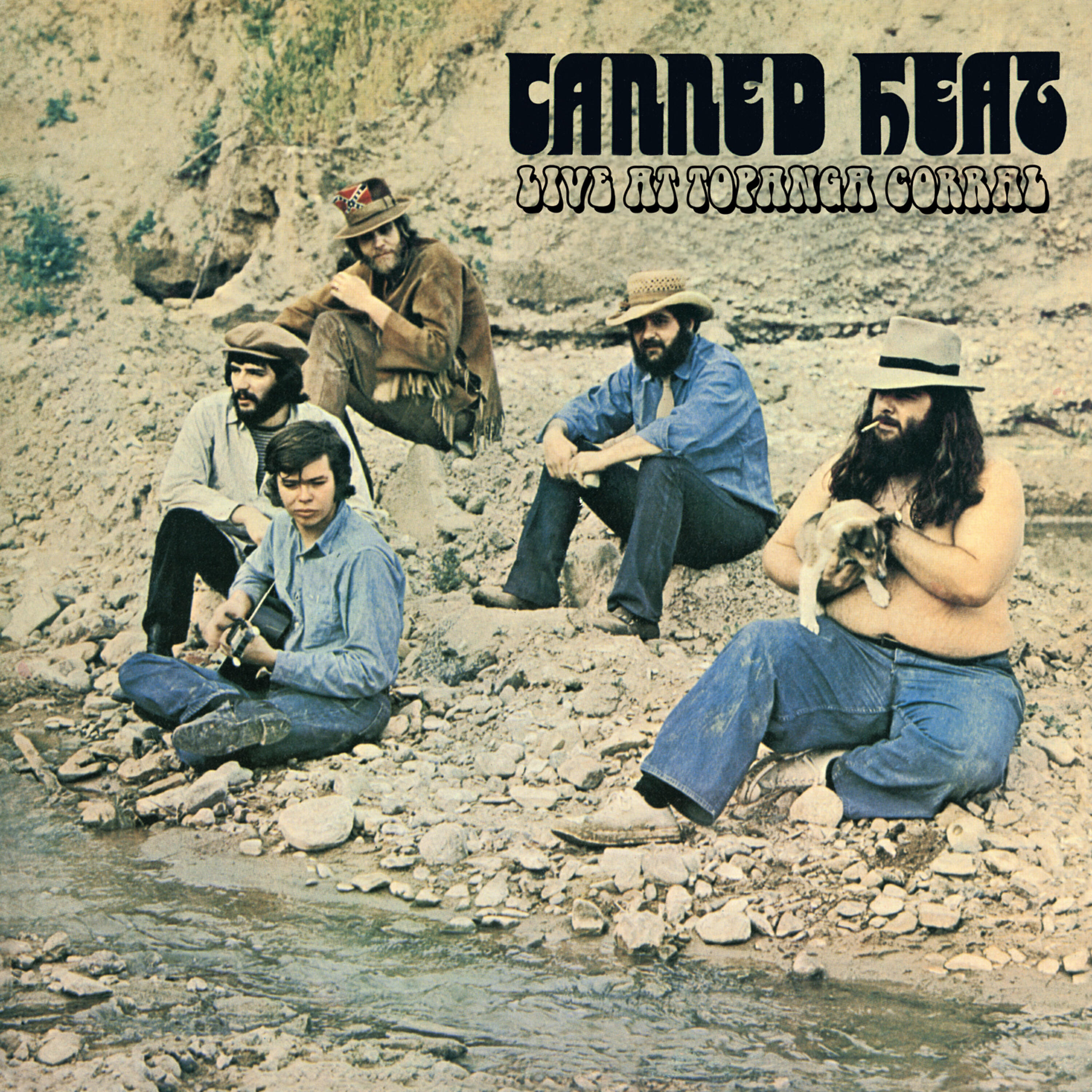 Canned Heat - Wish You Would (Live)