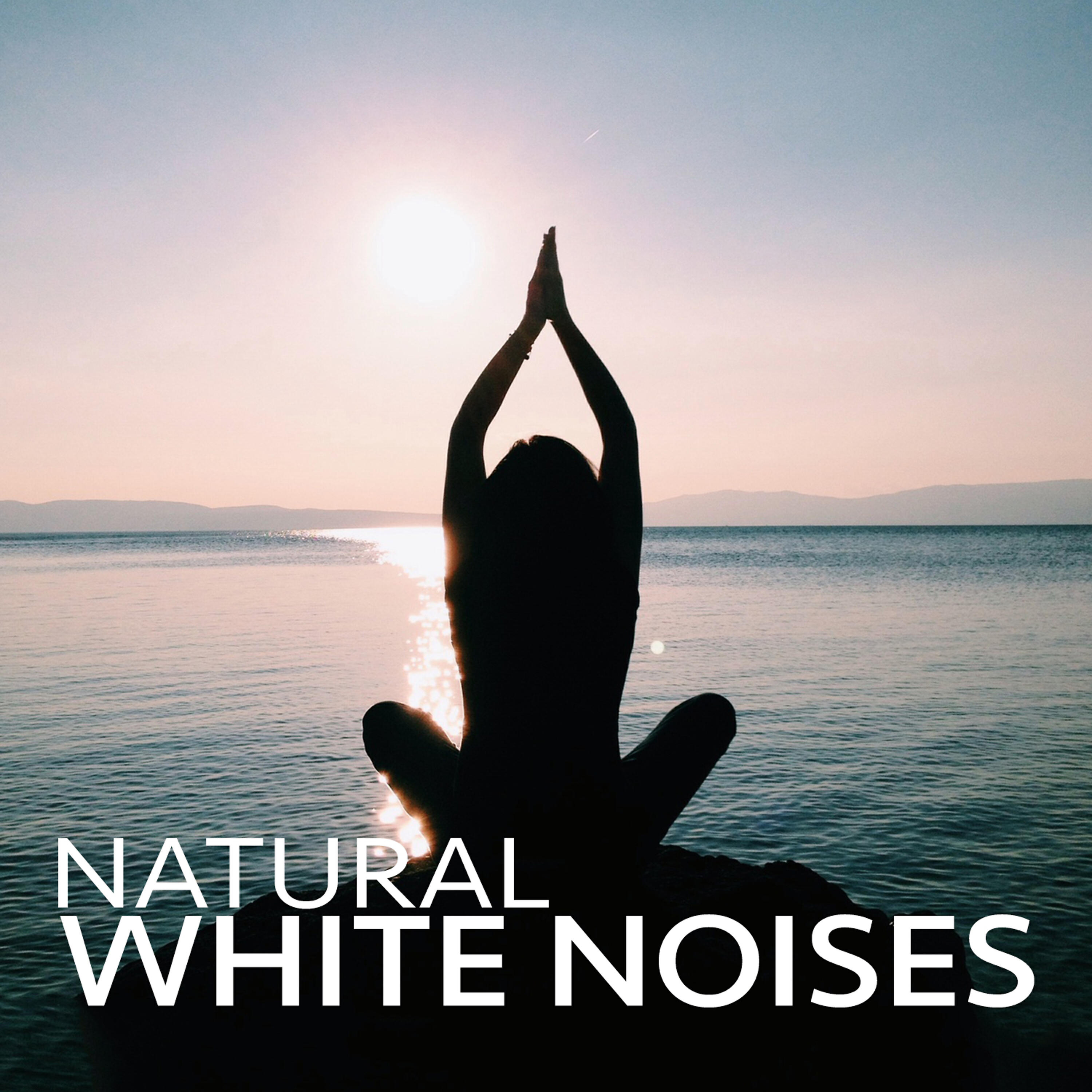 Sounds of Nature White Noise for Mindfulness - Serenity Stream