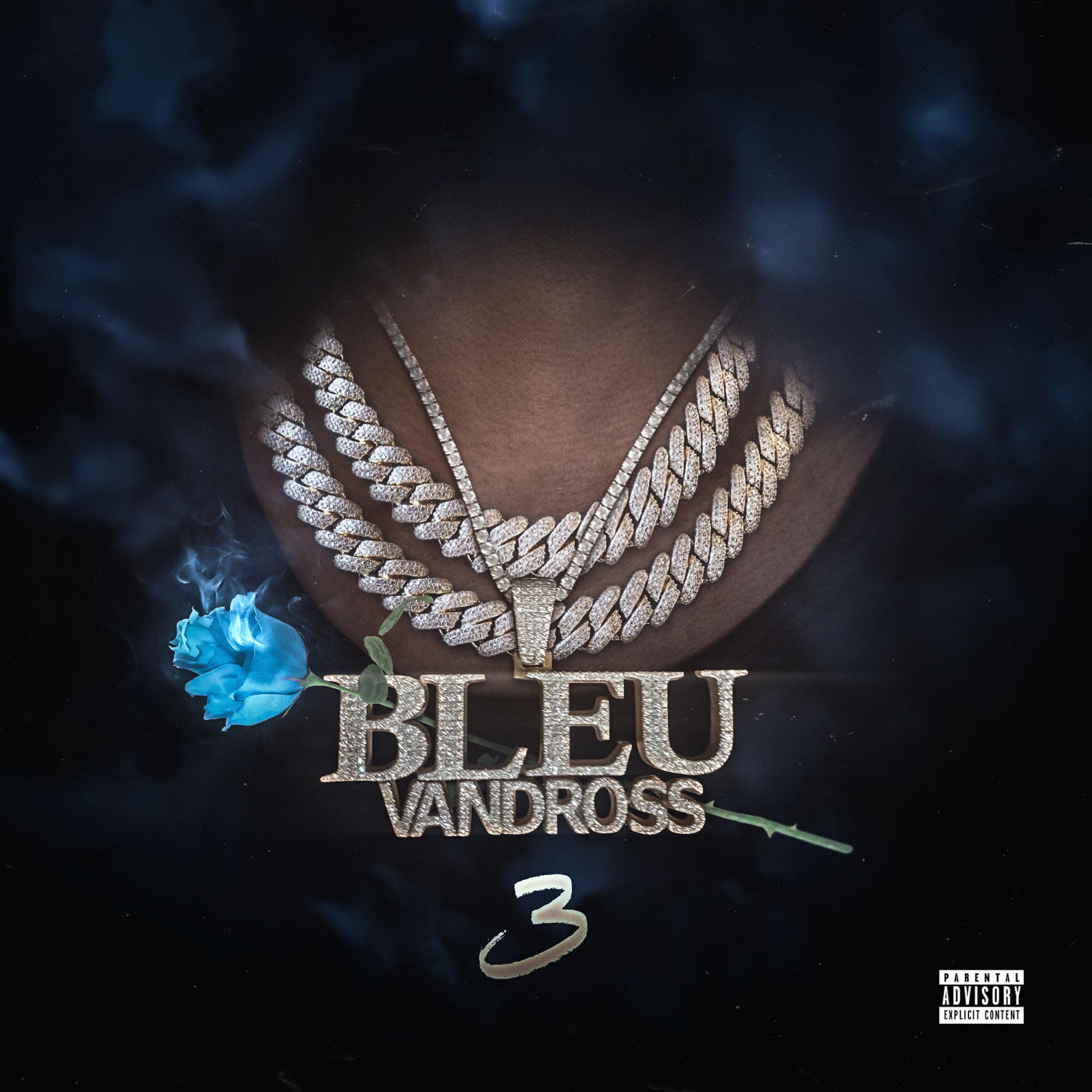 Постер альбома Bleu Vandross 3